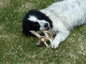 422052_10151544292095528_1206157386_n