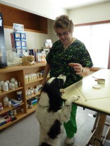 428250_407934542556765_1596418206_n