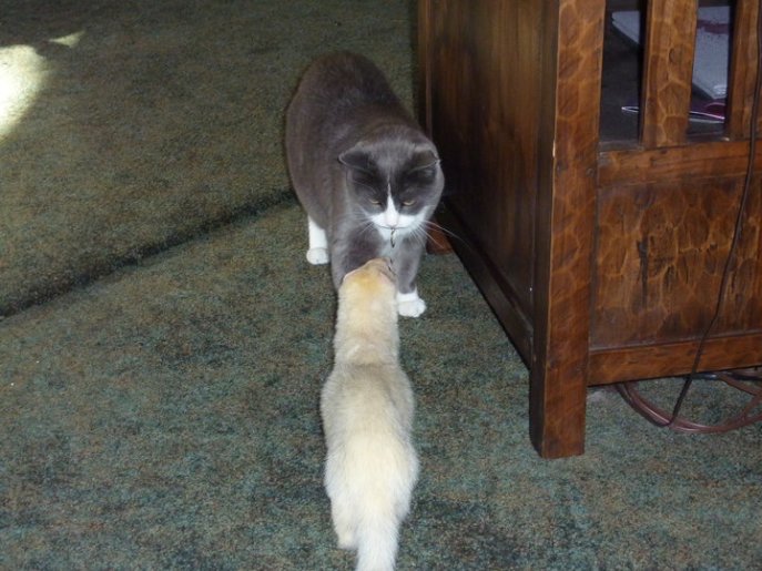 Jacques and Bebe 2010