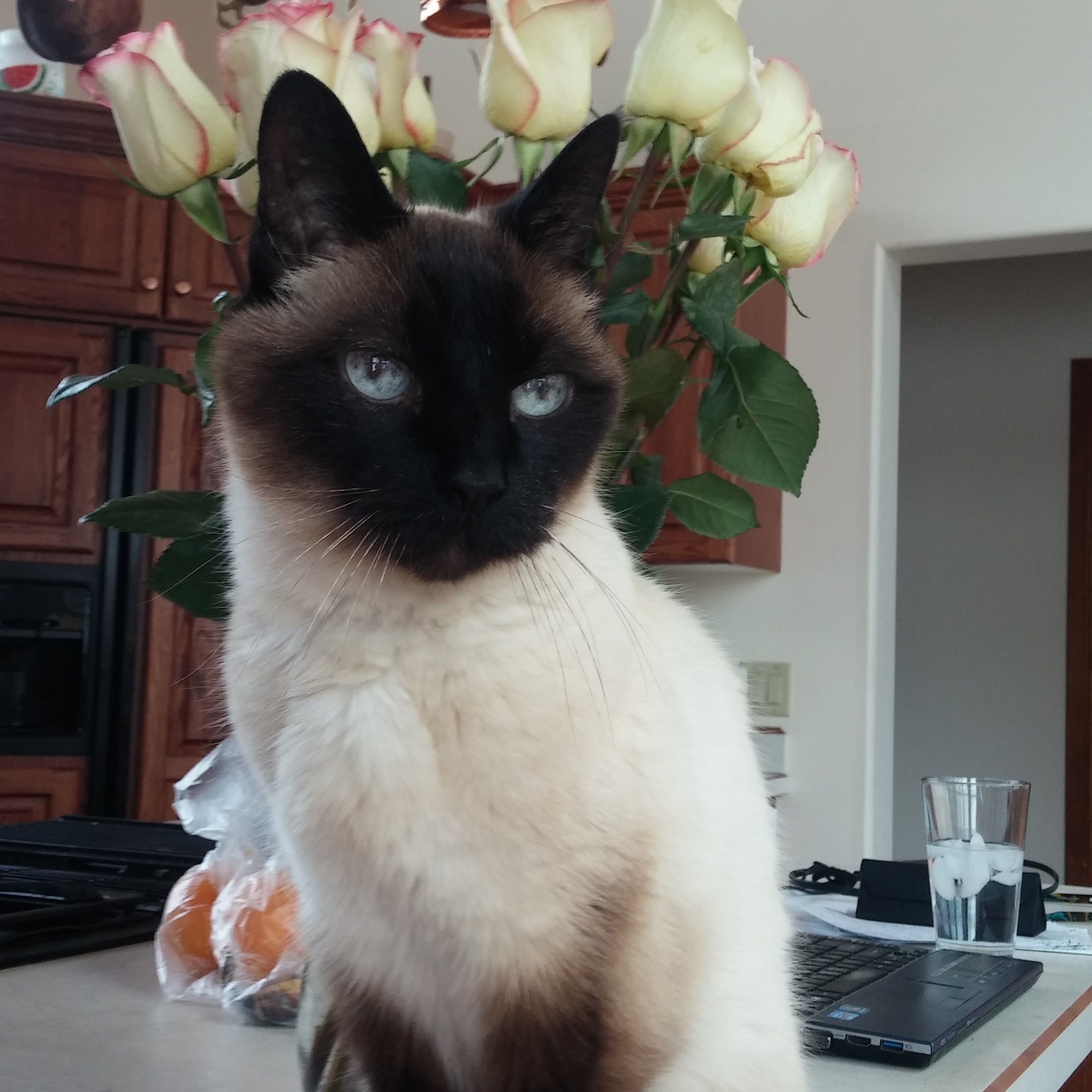 IMG_20171118_135437_555