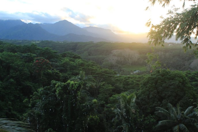 45148061_10156406283955528_3914776249792200704_o