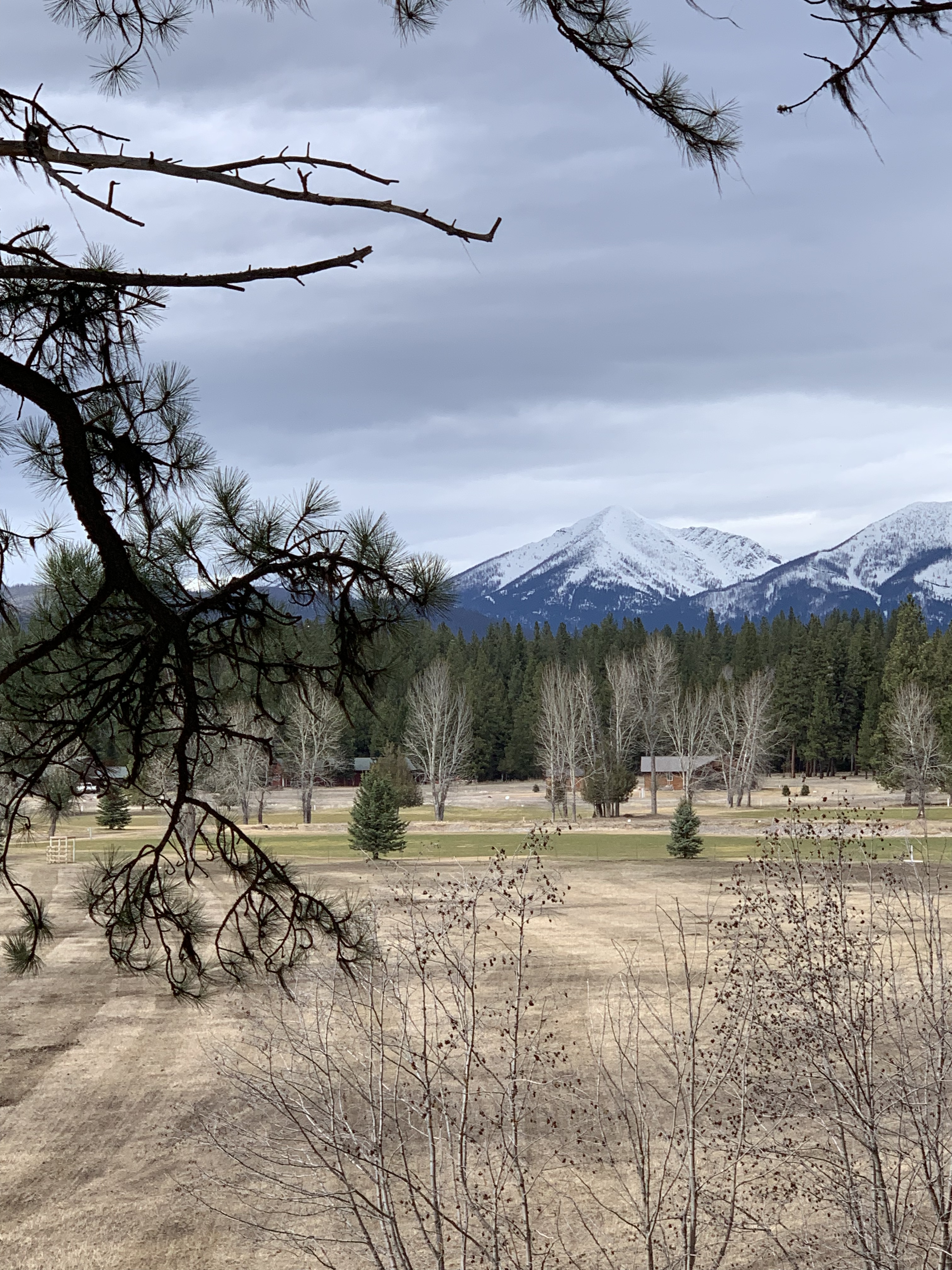 28B3A8A7-89E0-4622-A9DA-A98F3E3B8B6C