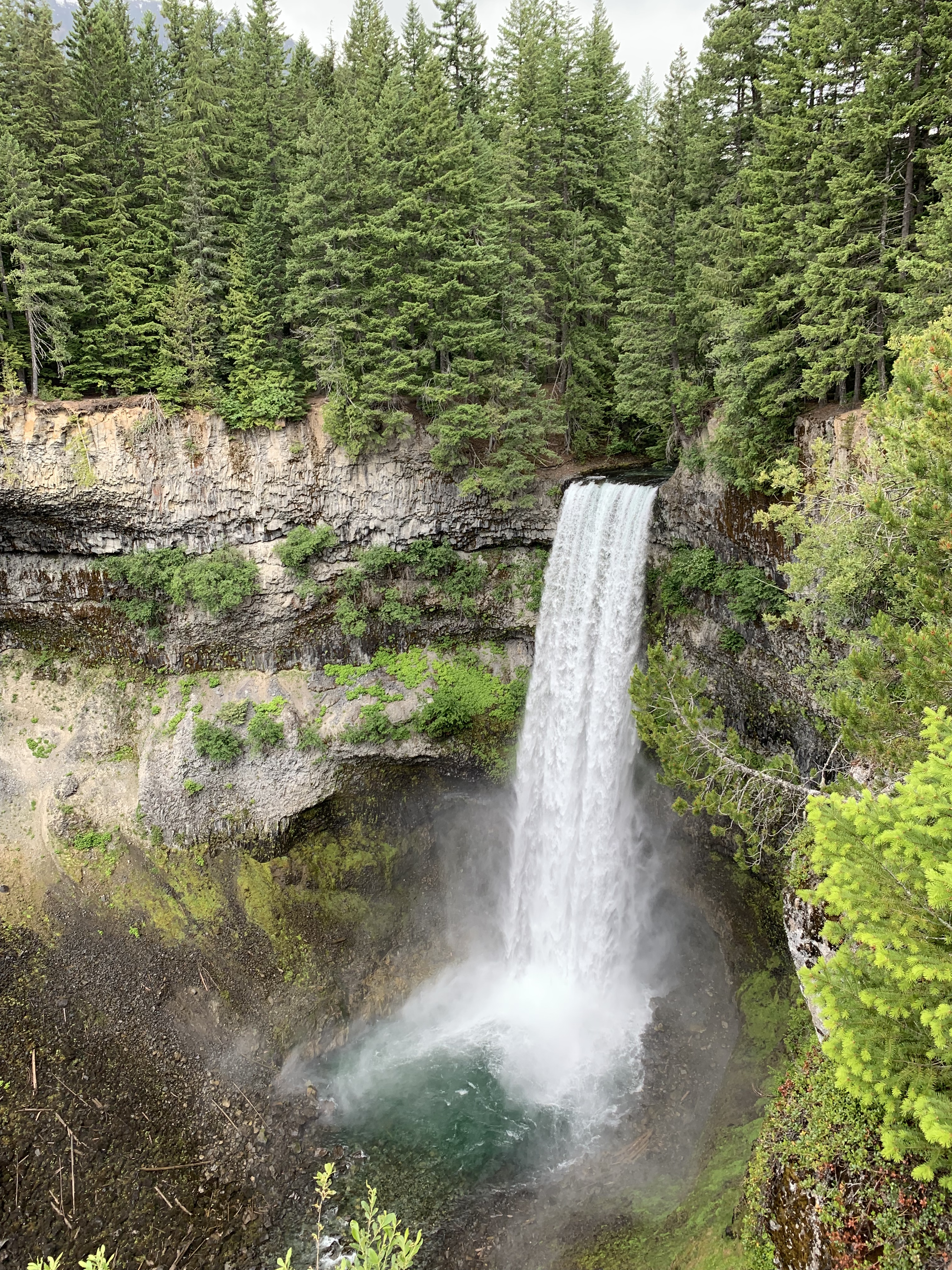 17F28C86-5104-4BBB-BFBF-5E0D6AC14A6A