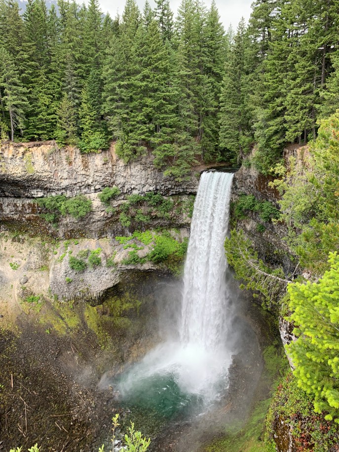 17F28C86-5104-4BBB-BFBF-5E0D6AC14A6A