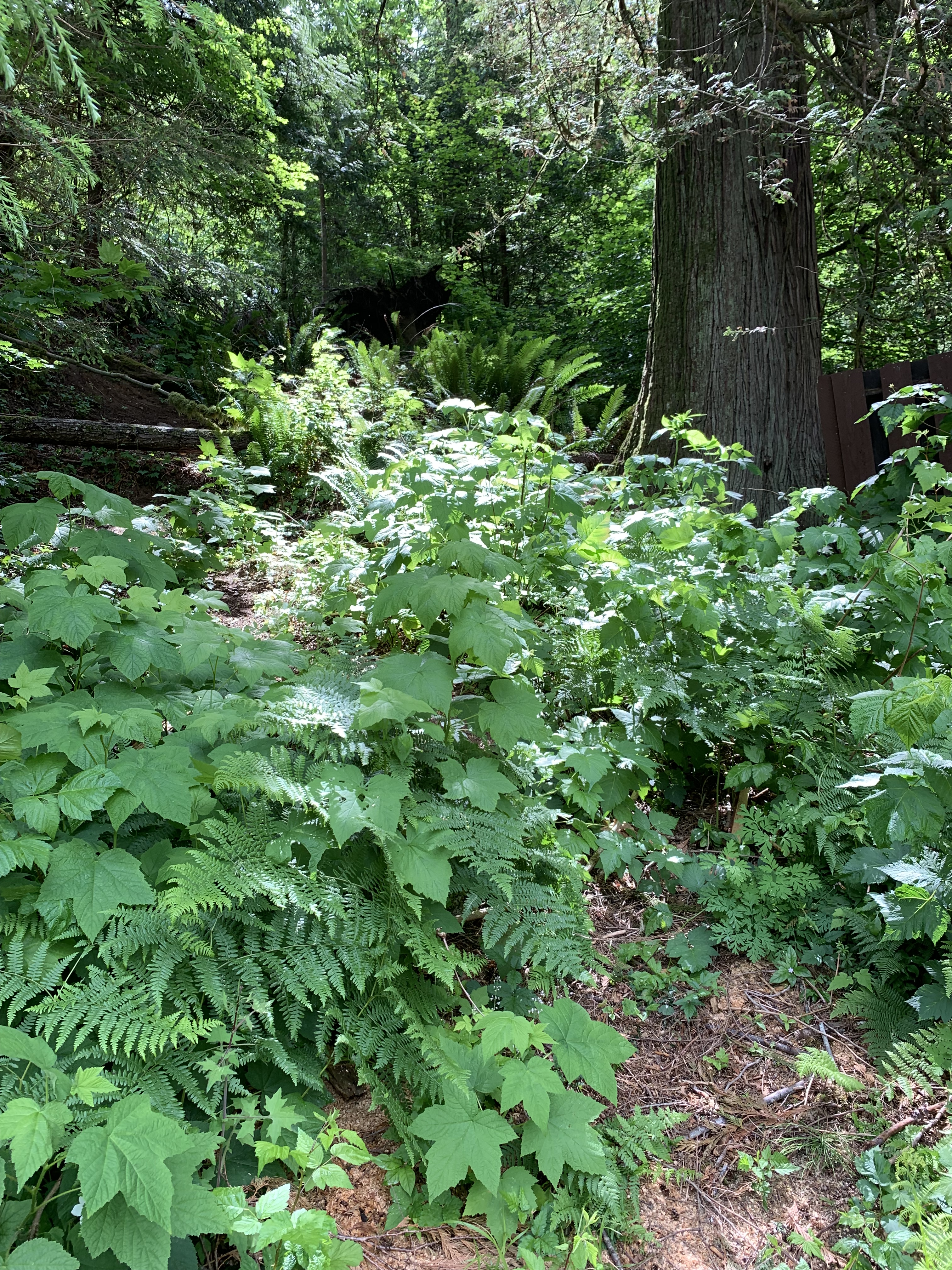 60F6EB21-79F3-442F-B726-E3E72D54DB68