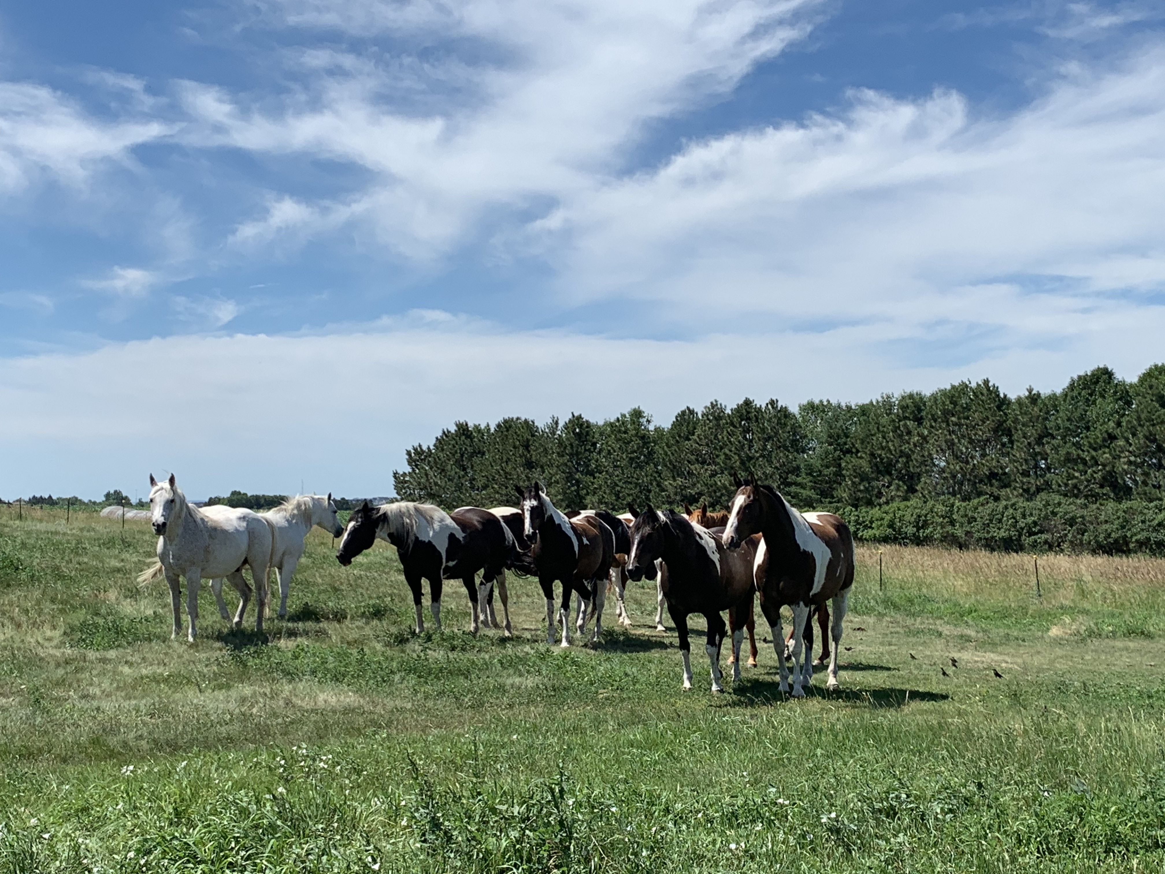 C015F7A7-F852-4929-B432-74B45B9F0A5D