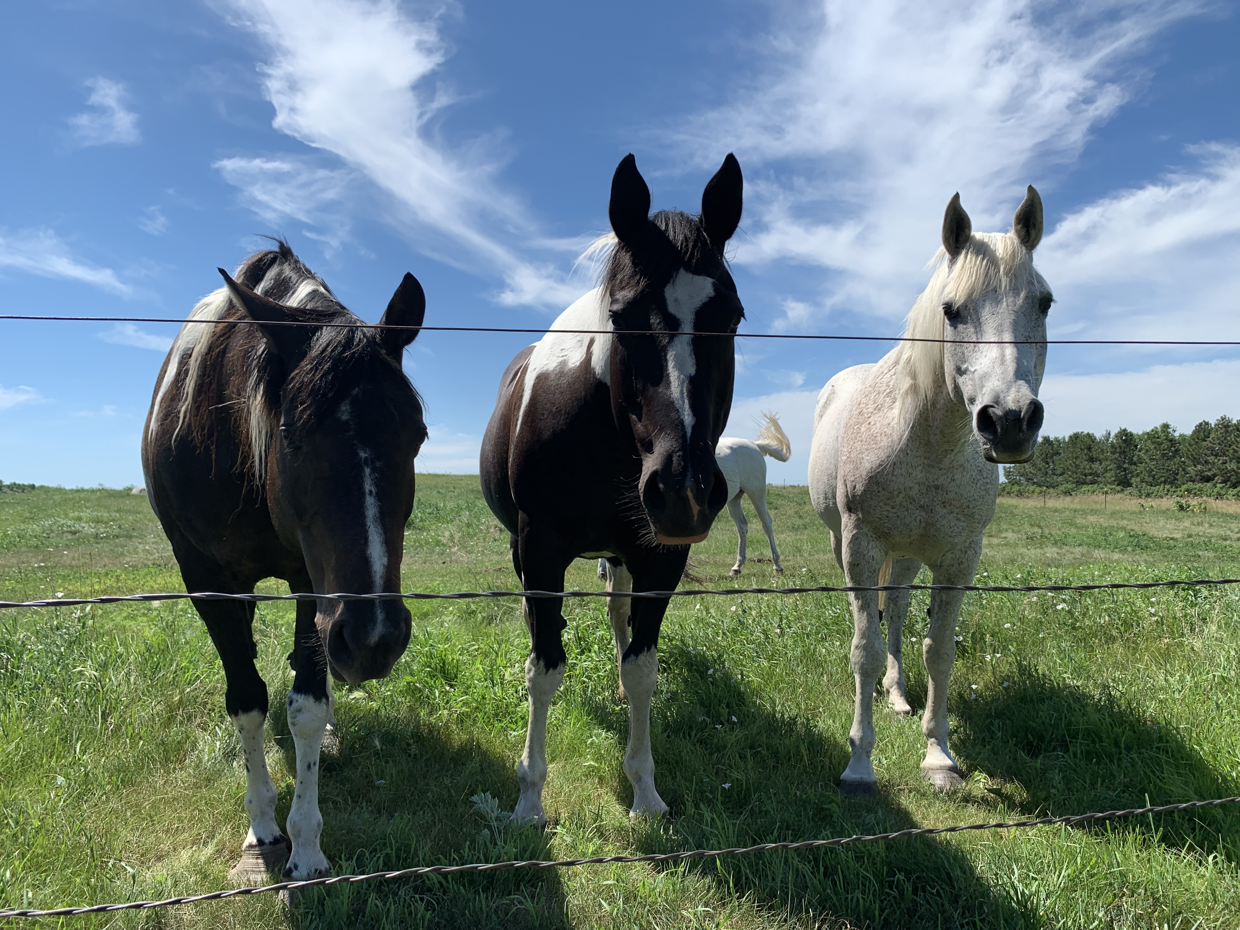 D1260B83-52C5-4492-9021-156DECAB2E54