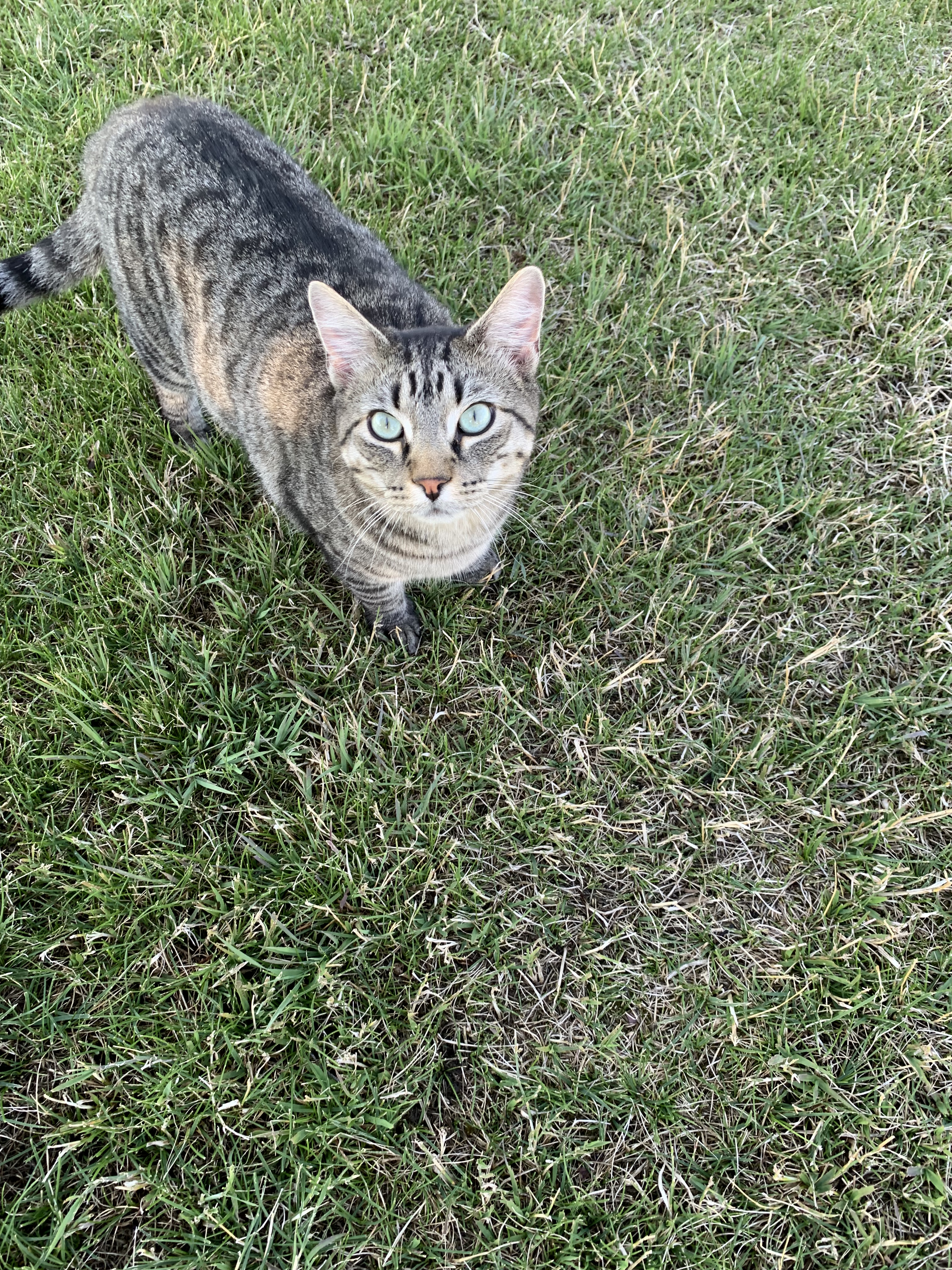 19E10455-4057-4C13-9636-7D3EFD89958E