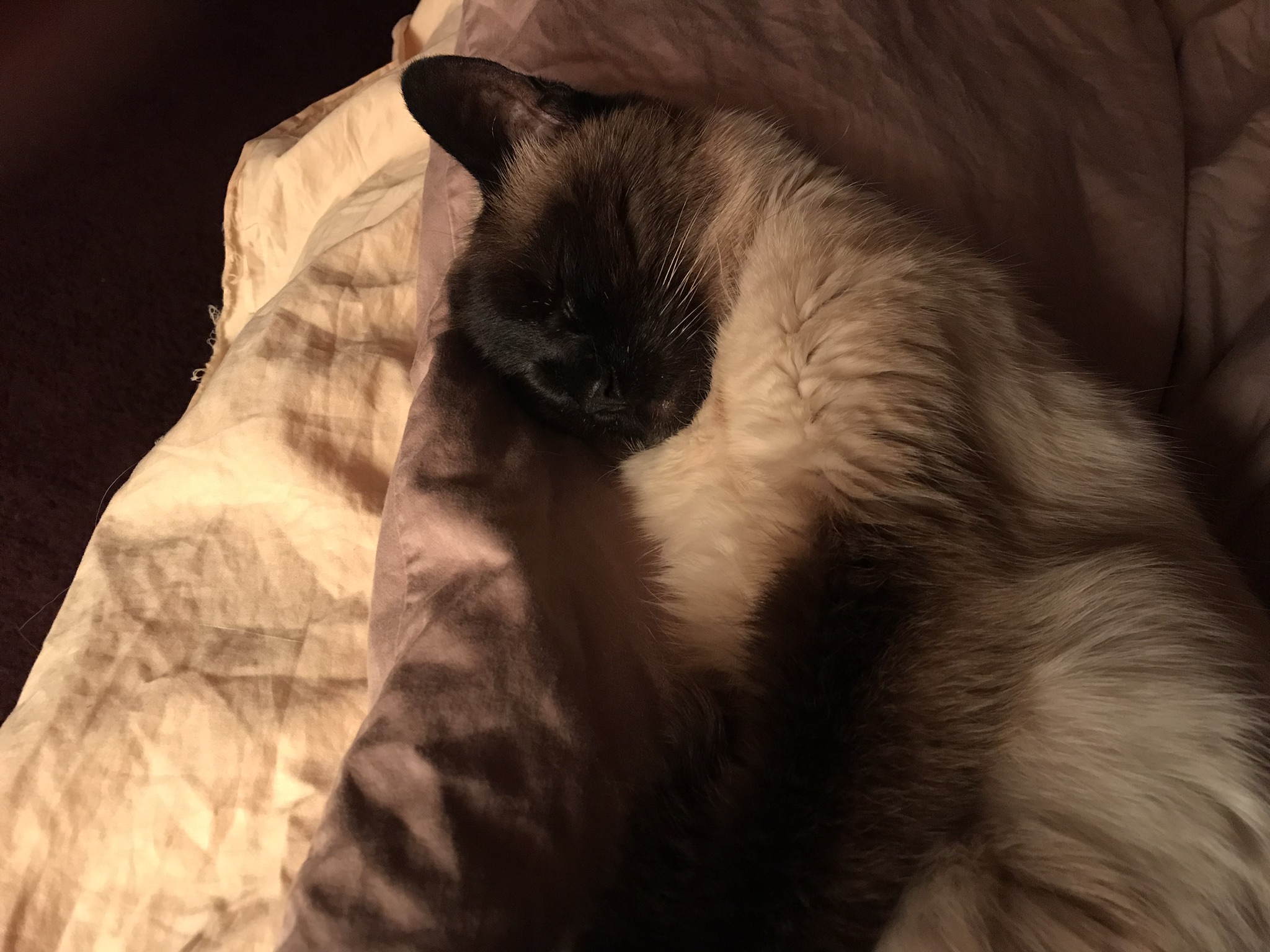 286F29FF-CD84-48A3-A816-F78EB44FC9CD