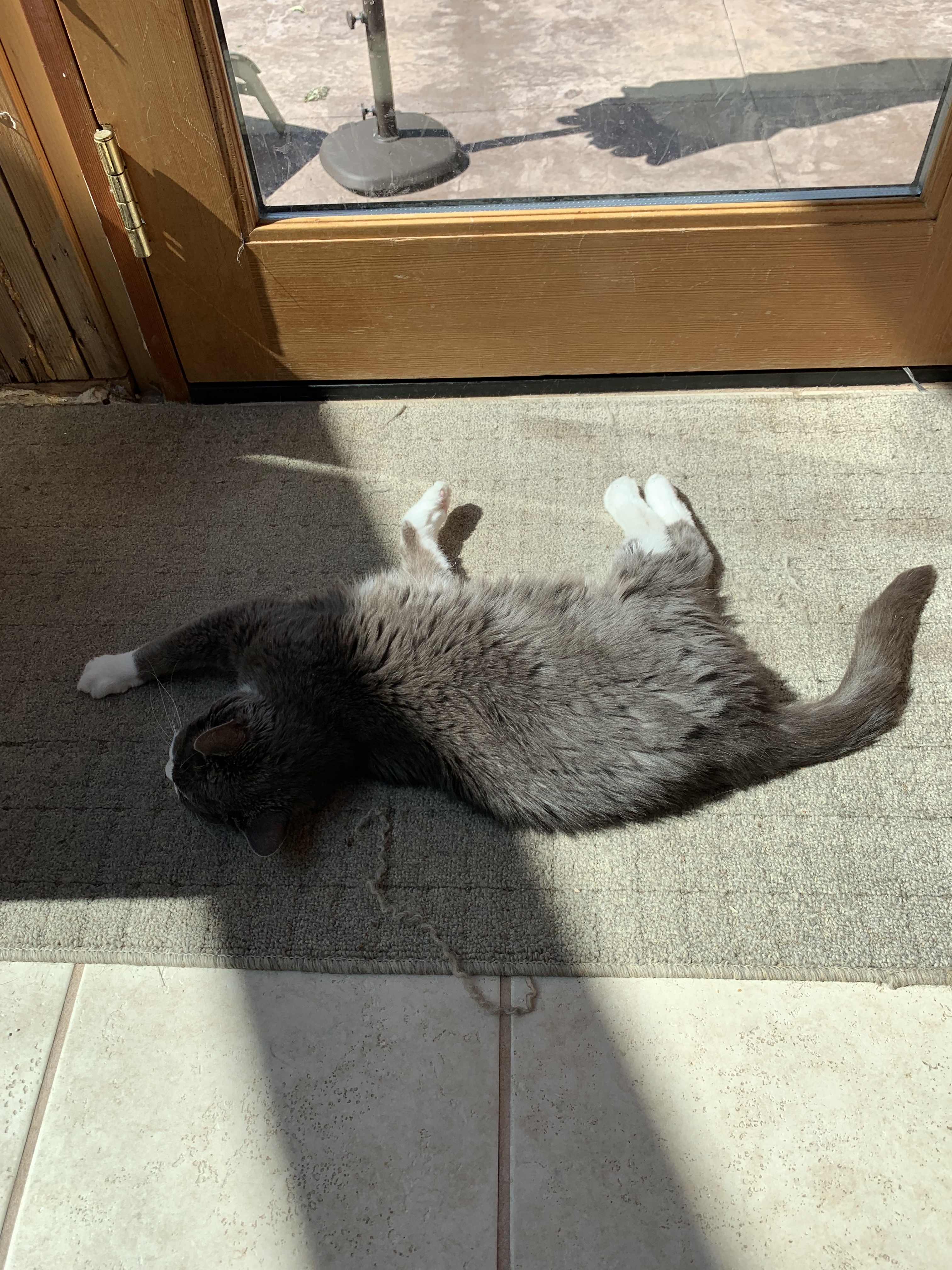 29F3A6ED-0138-4675-A778-256A50E9A62C