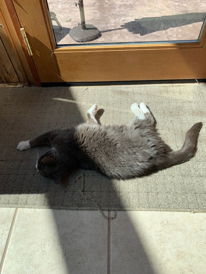 29F3A6ED-0138-4675-A778-256A50E9A62C