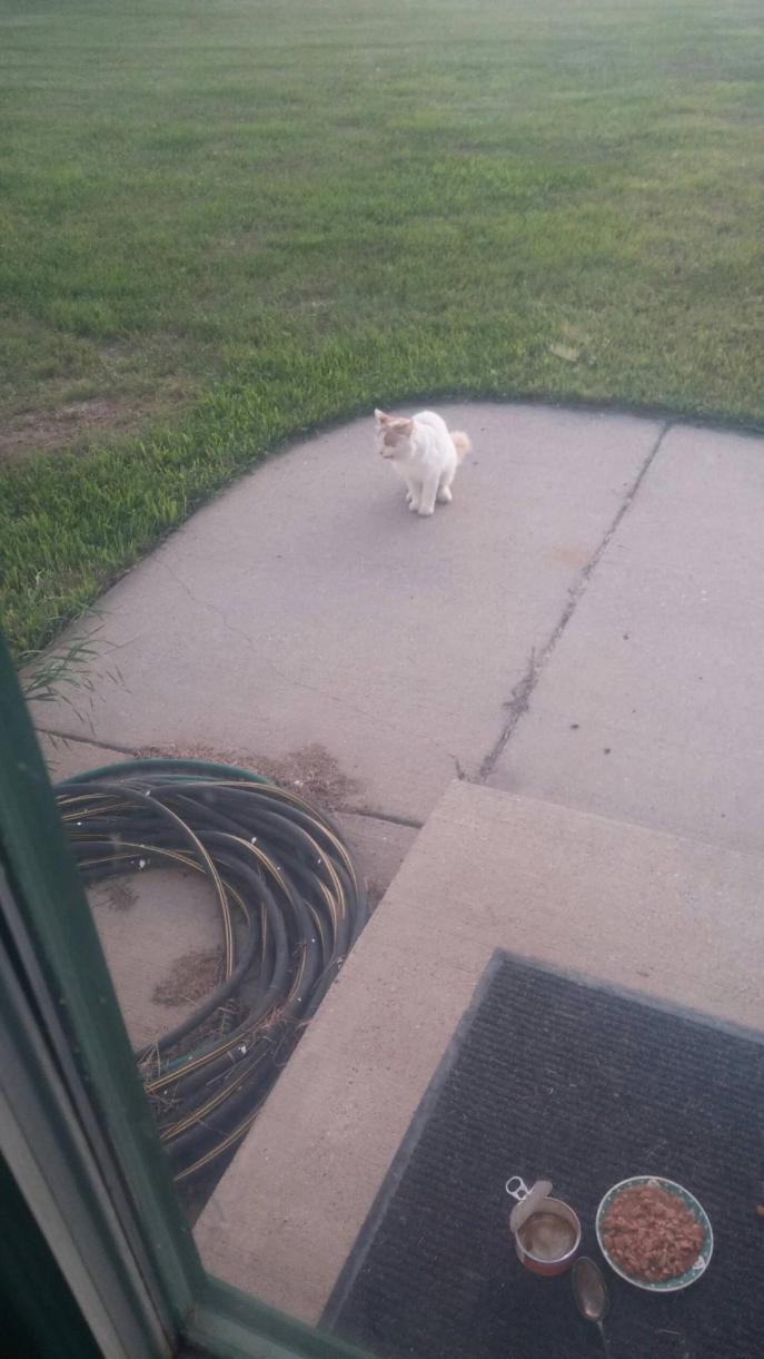 A10E7596-38F3-4A98-A371-231DD89E2AF3