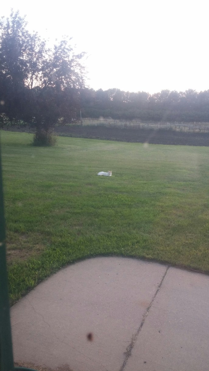 C08D39FD-178F-468A-907D-FCC83EEDAEFE