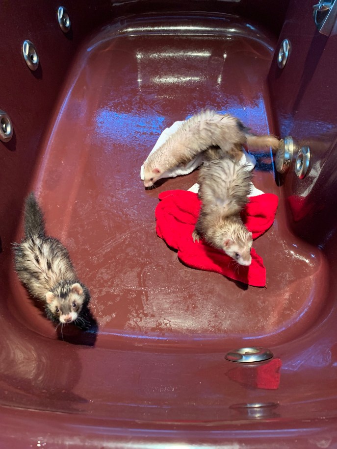 0A4DE412-3D75-4692-A4A2-0A722C43A192