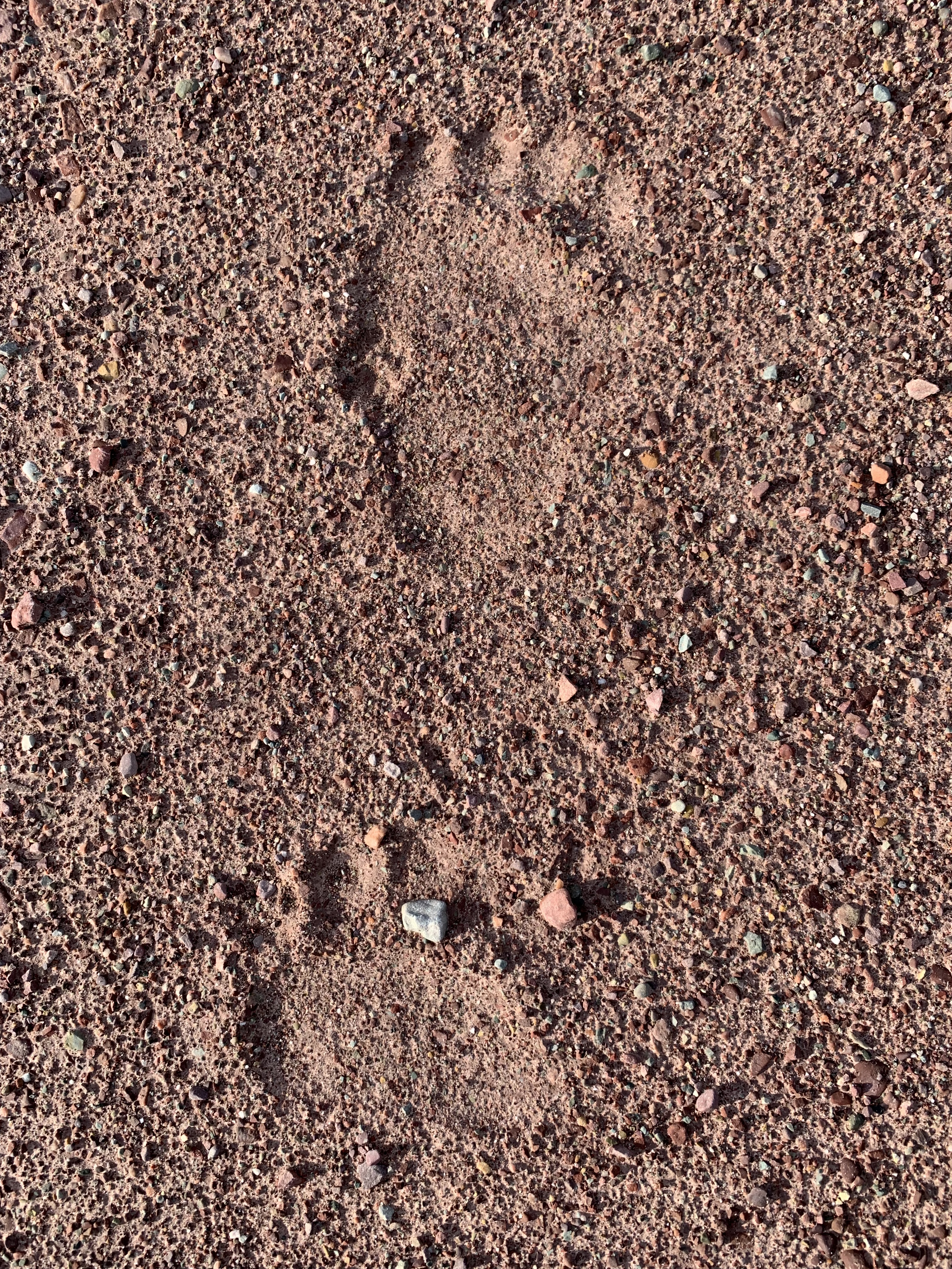 B036CCEE-8CB5-48F0-AF4F-E5B1BCFD2EC2