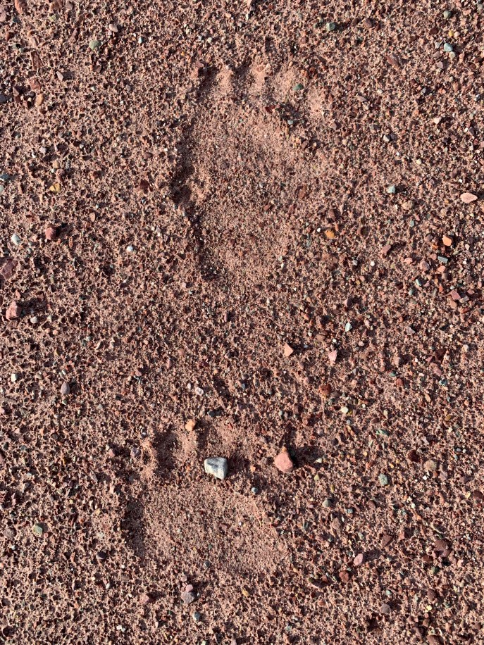 B036CCEE-8CB5-48F0-AF4F-E5B1BCFD2EC2