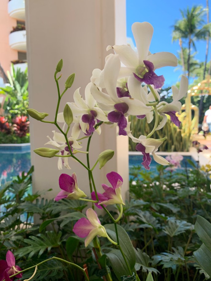 17EA27D5-6ACD-4FE3-A67A-33887D5AB2A6