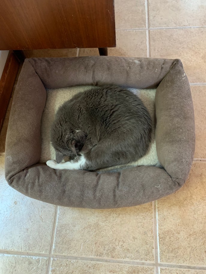 393E74E2-E5AC-4358-880C-7211CA4EEA2B