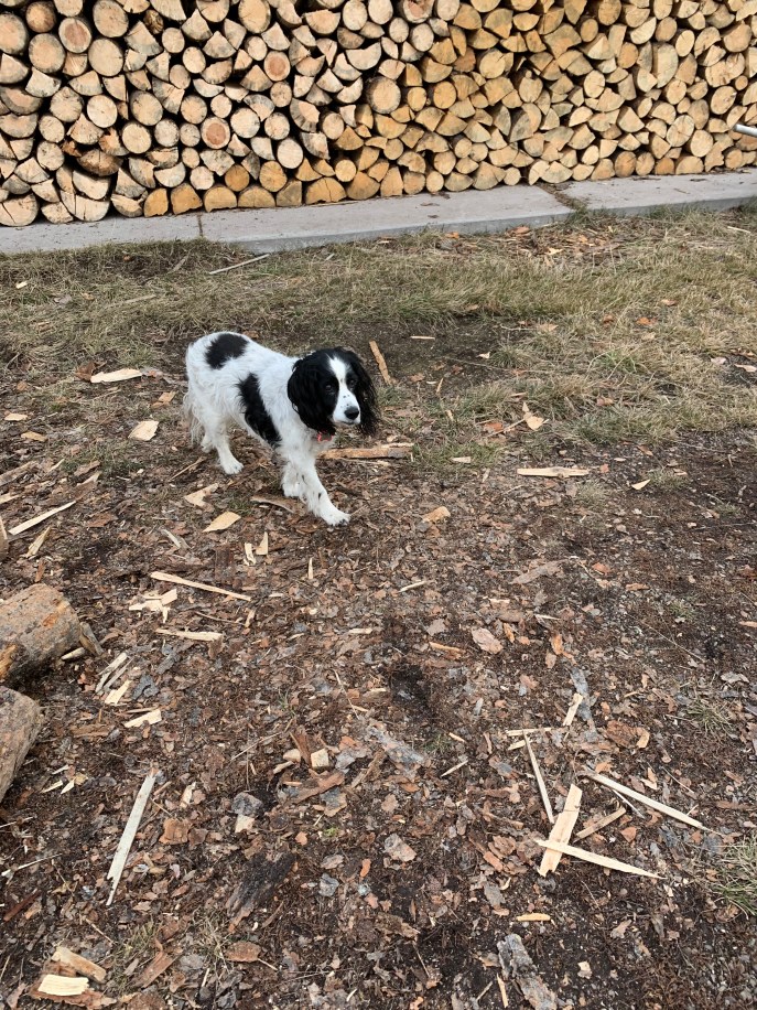 3BA82546-7587-403C-A1F0-DA9EE8FDDA8C