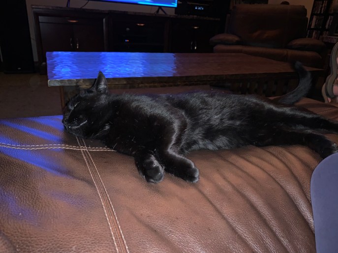 3F59B7EC-2C4D-4D82-964B-763246CCC538