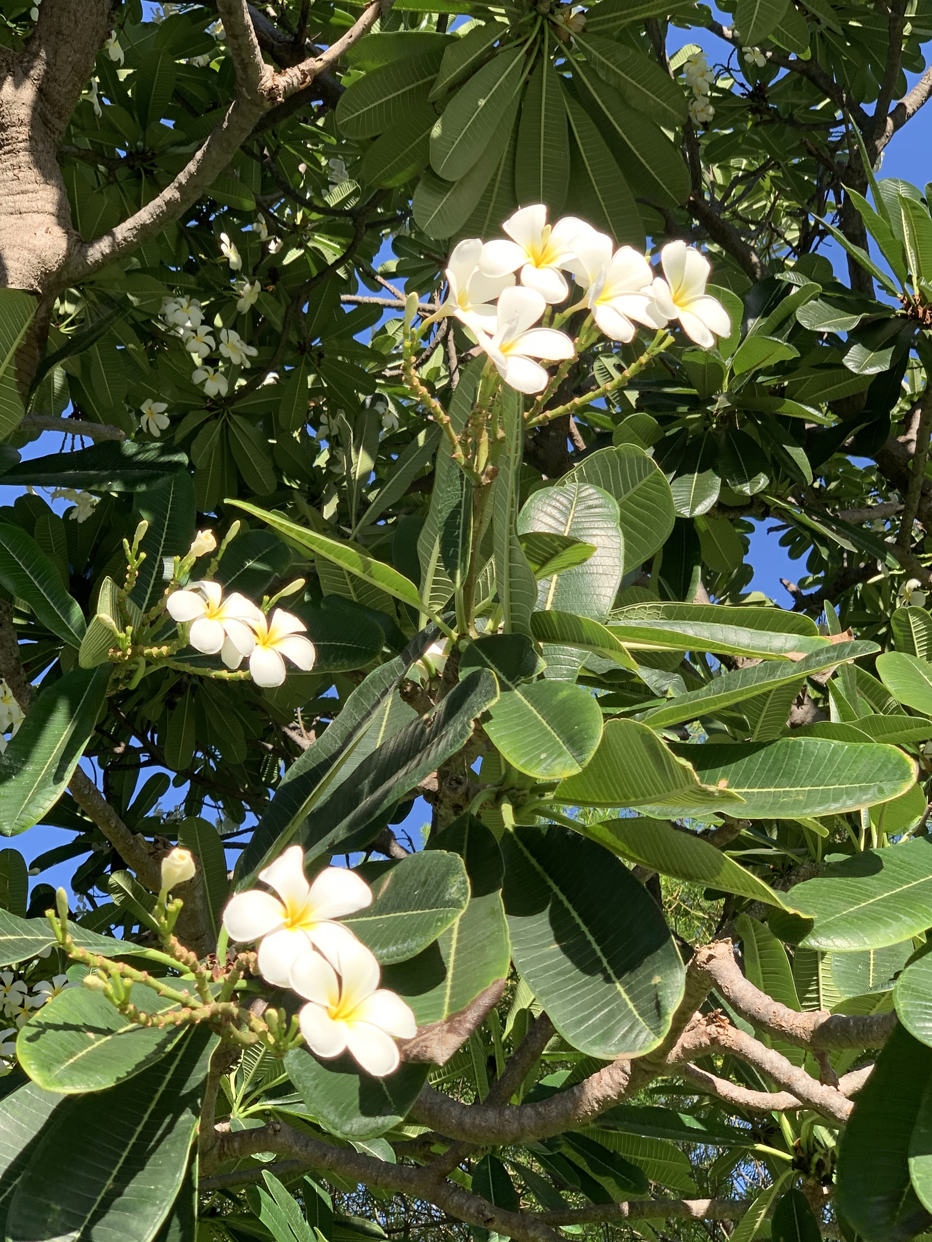 462FA930-9426-42F3-839B-9CD1A81CCA75