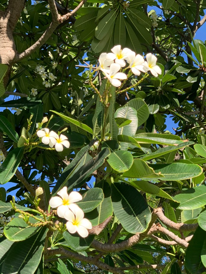 462FA930-9426-42F3-839B-9CD1A81CCA75