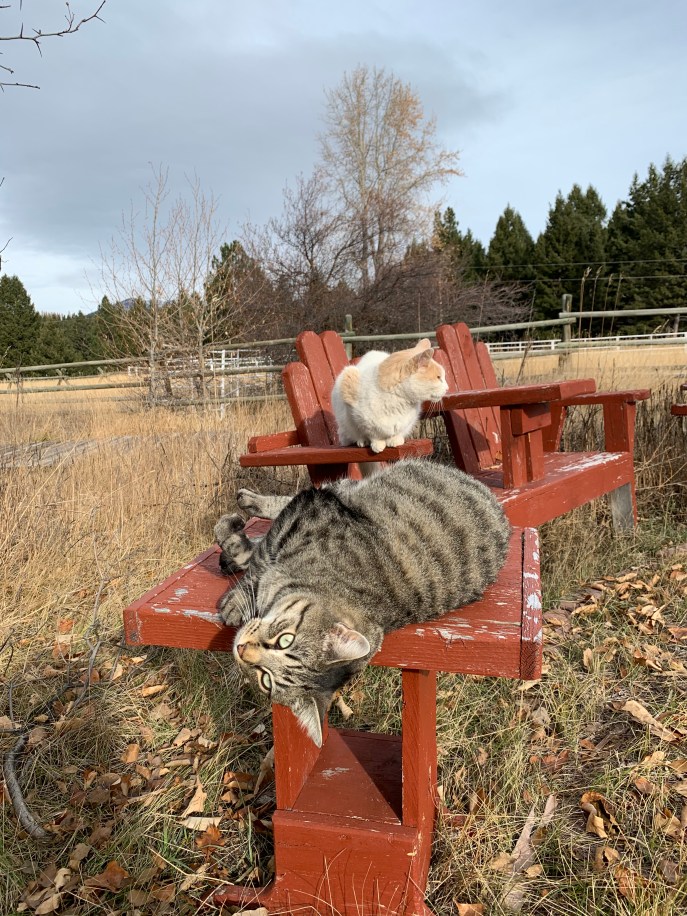 4ACD3C86-39C3-4080-A5C3-5A1B1B98EEC5