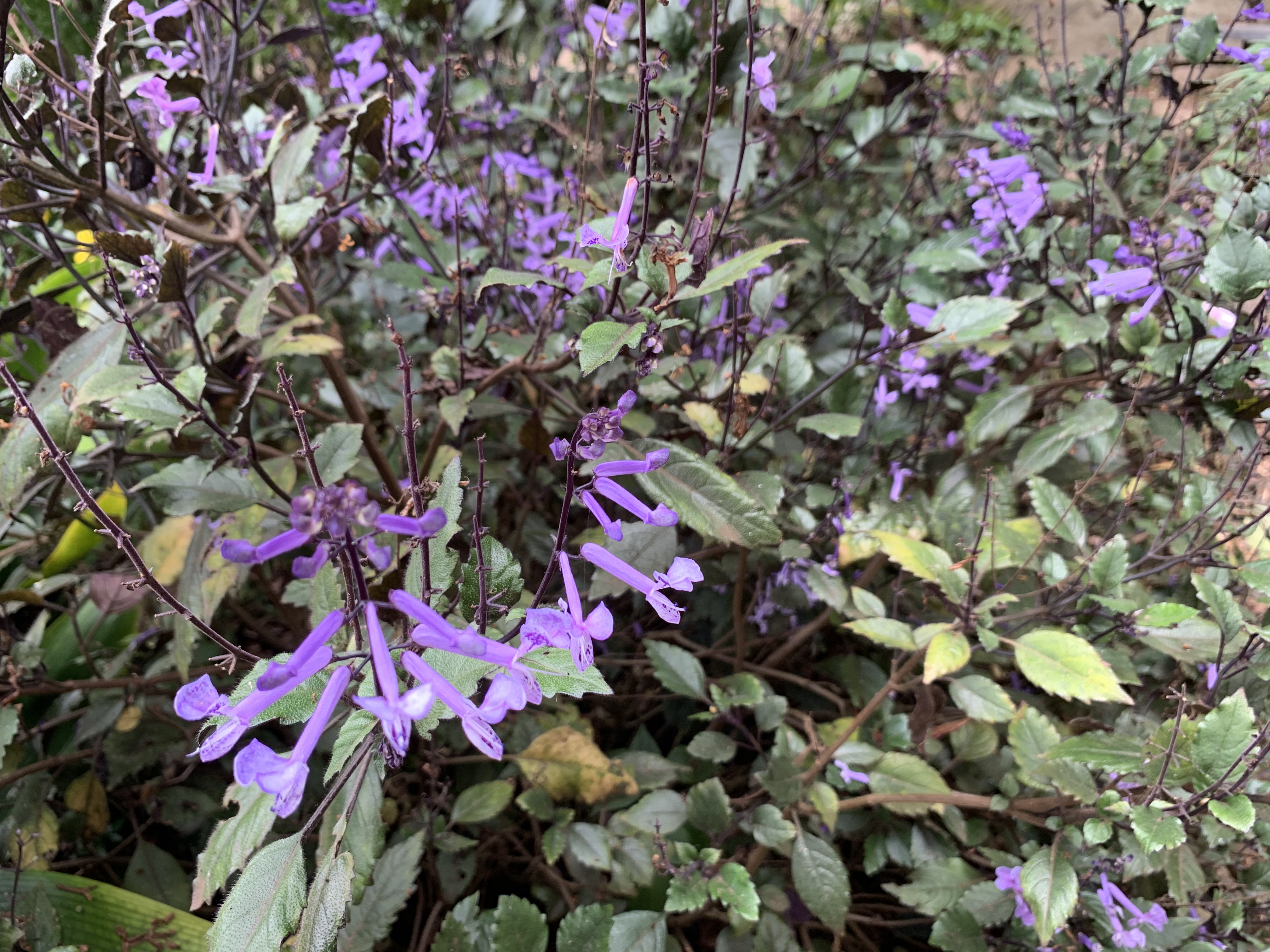 63616E84-9DD7-46A1-9448-580B06A95DA8