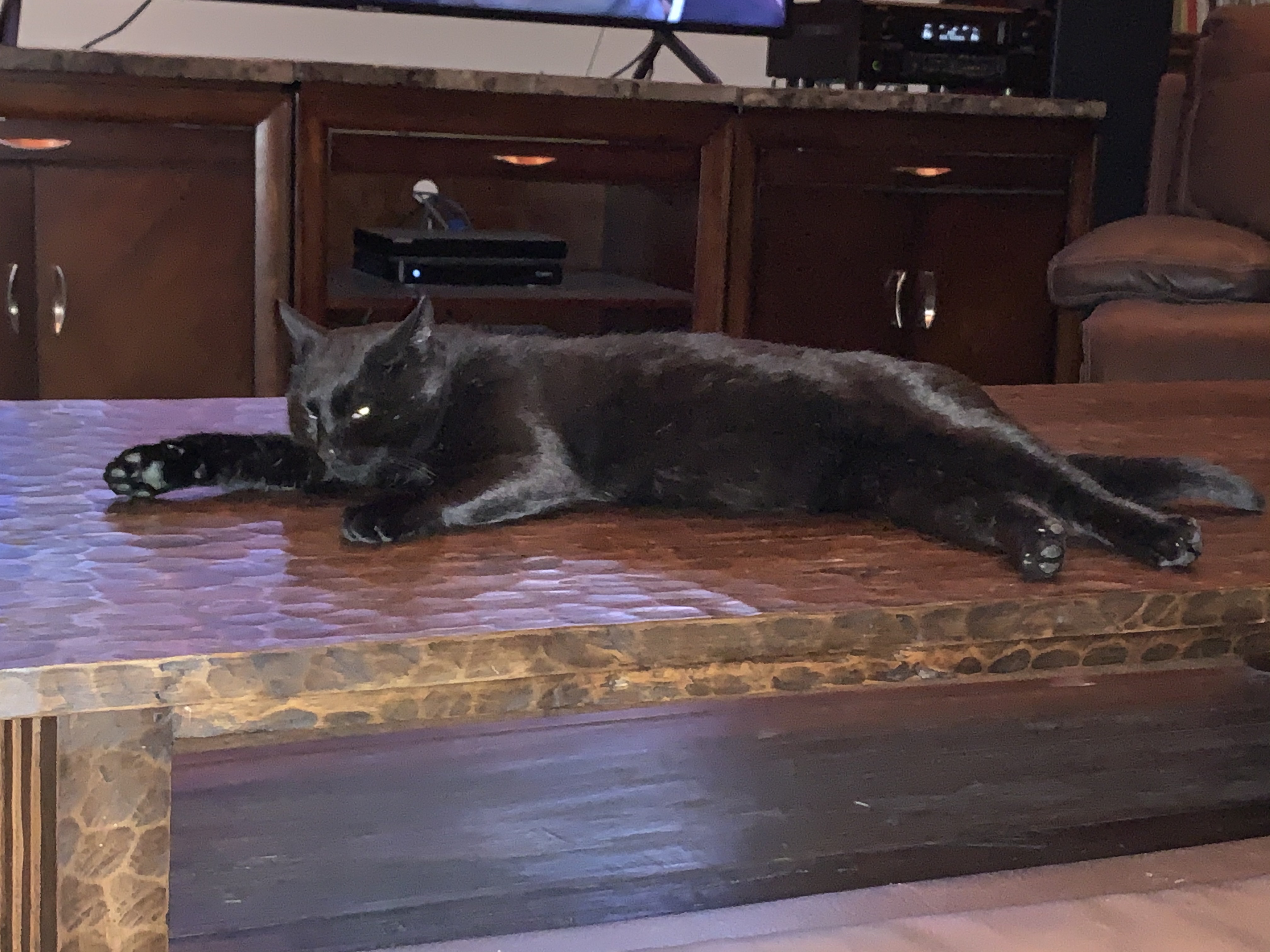 76BDAB87-BCE5-419A-8BBA-0026A1AE4635