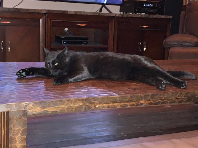 76BDAB87-BCE5-419A-8BBA-0026A1AE4635