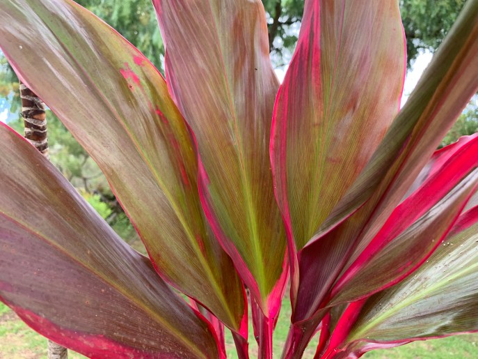 877BCE25-B7D4-40A0-B42F-5E5FBDD21C3B