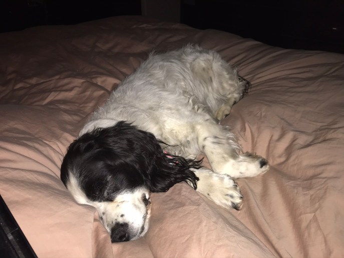 9A9BF971-A23F-44CF-95AB-53191A71A0BB