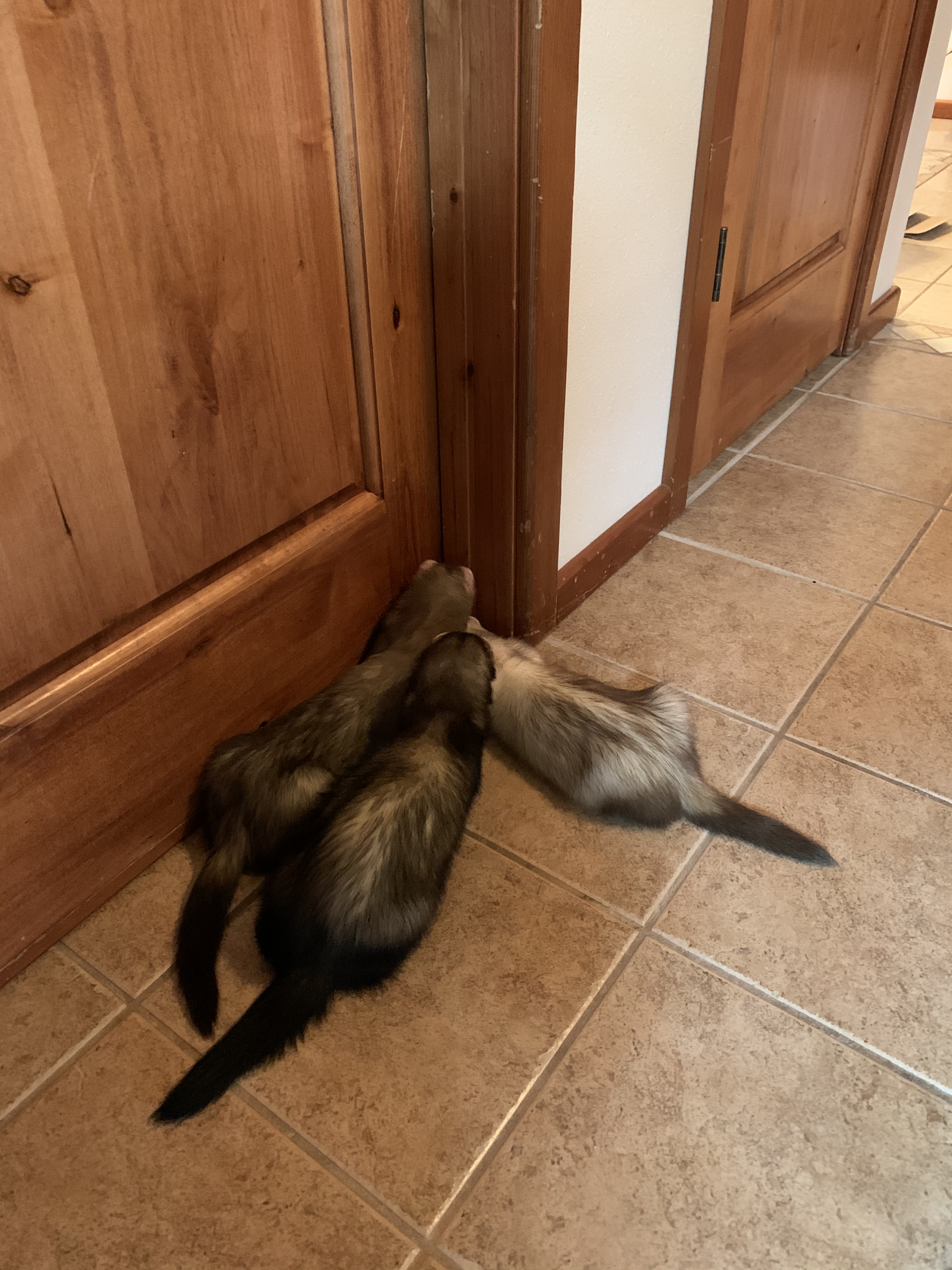 BA714EEB-88F6-49A5-BB42-43DBA3E89C5A