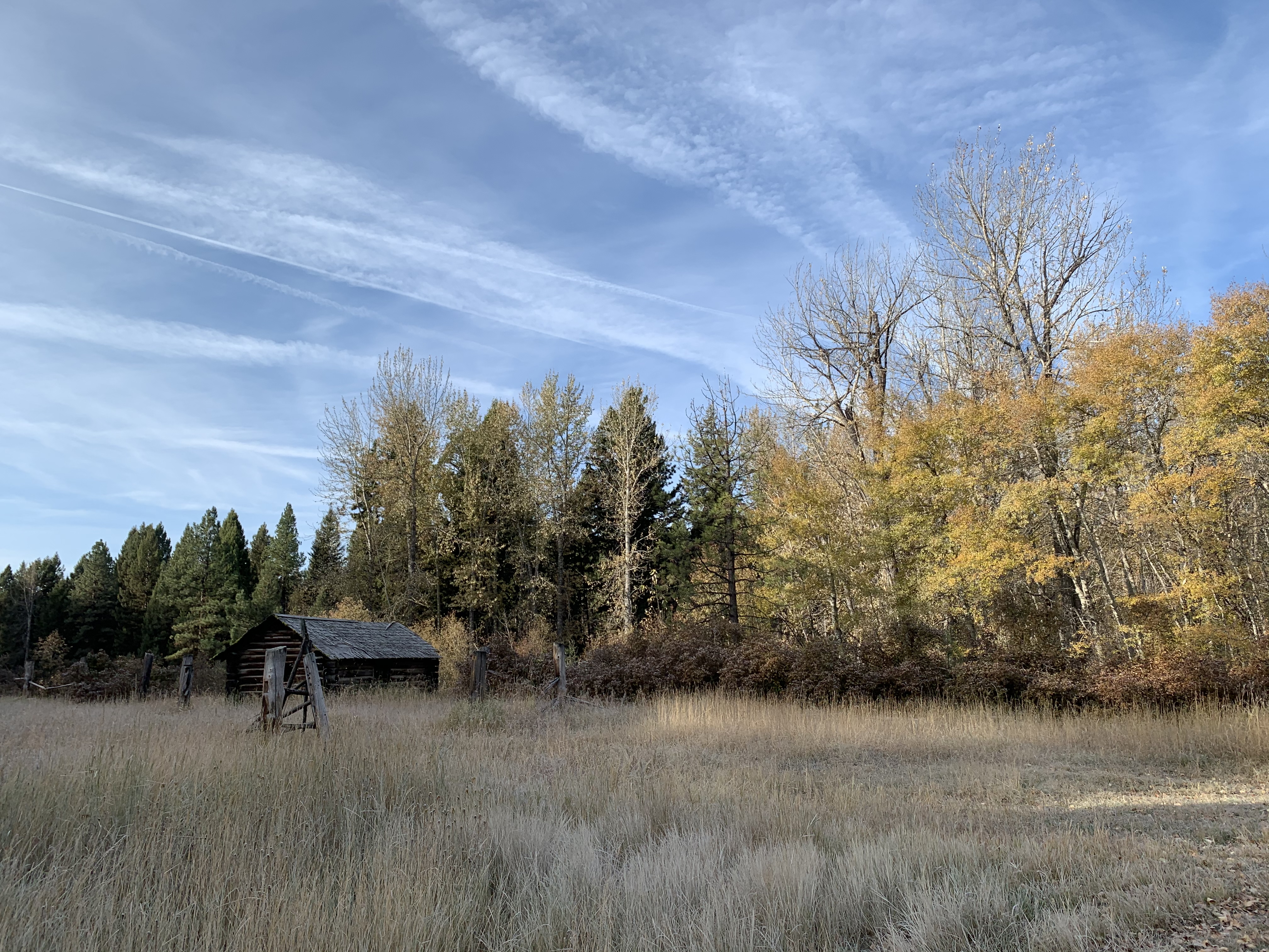 BBA3D293-D3F9-454F-AA07-E348E4CD3C5B