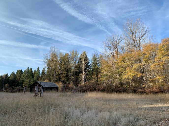 BBA3D293-D3F9-454F-AA07-E348E4CD3C5B