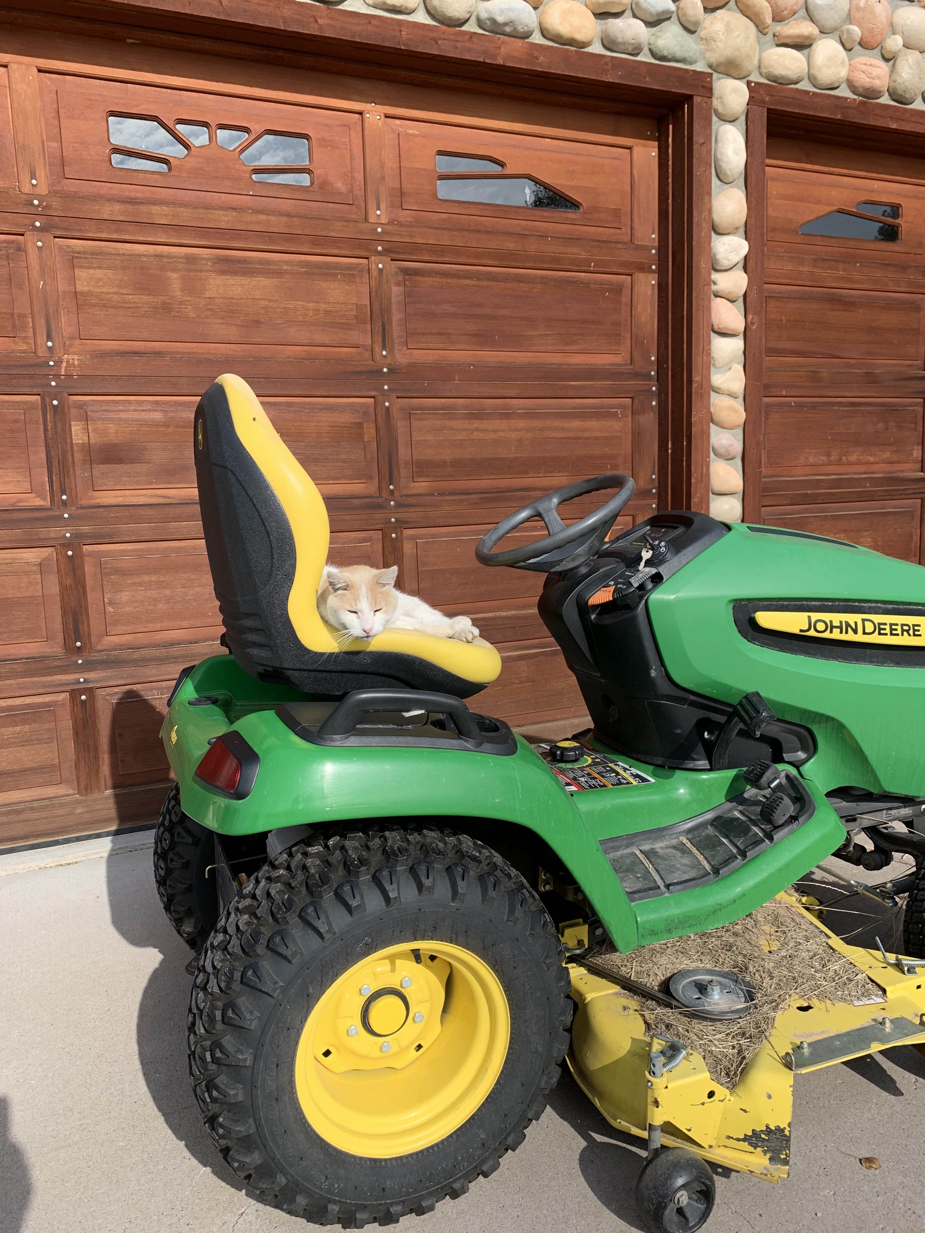 C31E0404-8A57-4CA2-AFCE-86CBF435ABA1