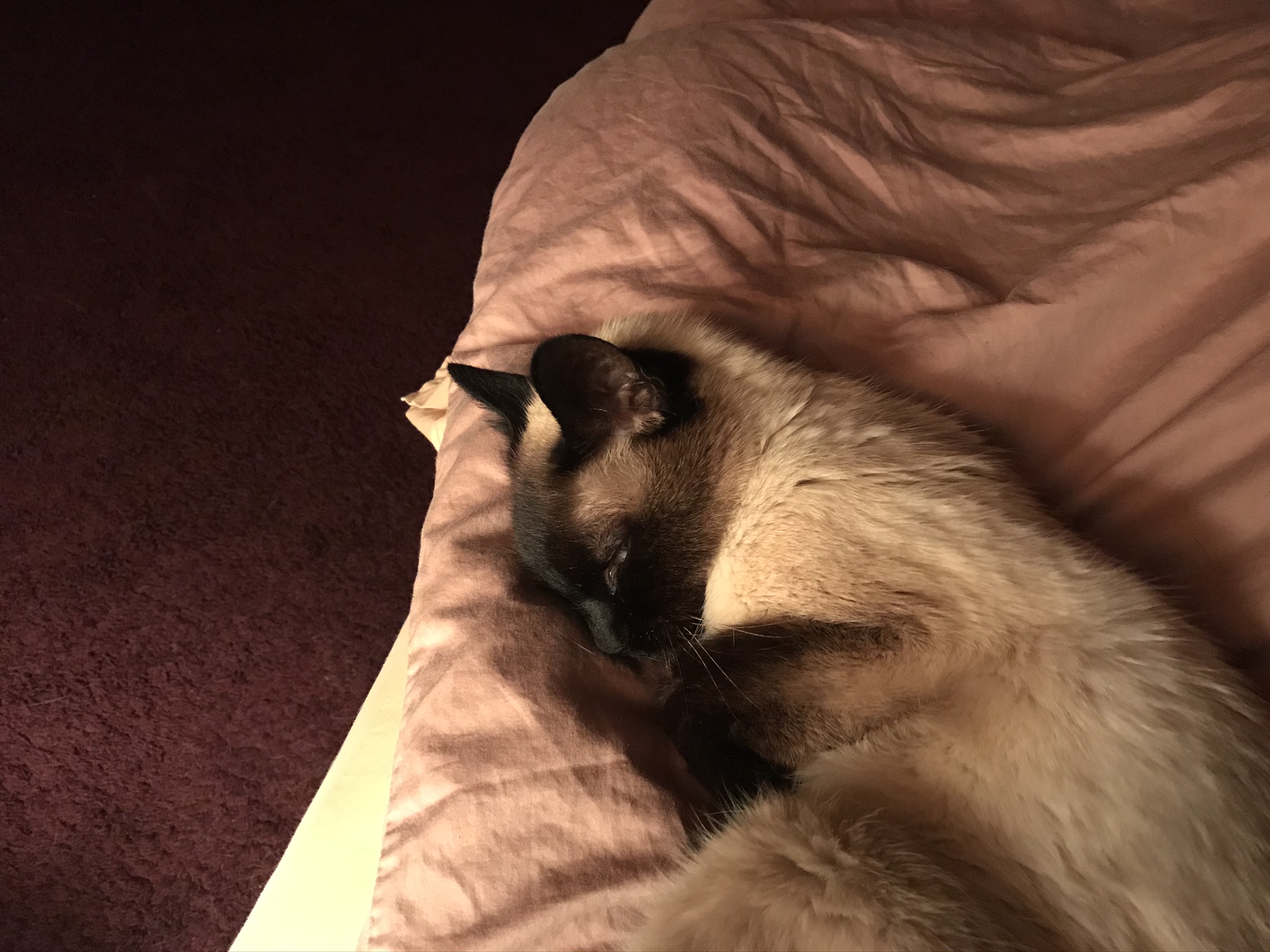 F8685A92-577E-40E6-A4F5-8D273312062A