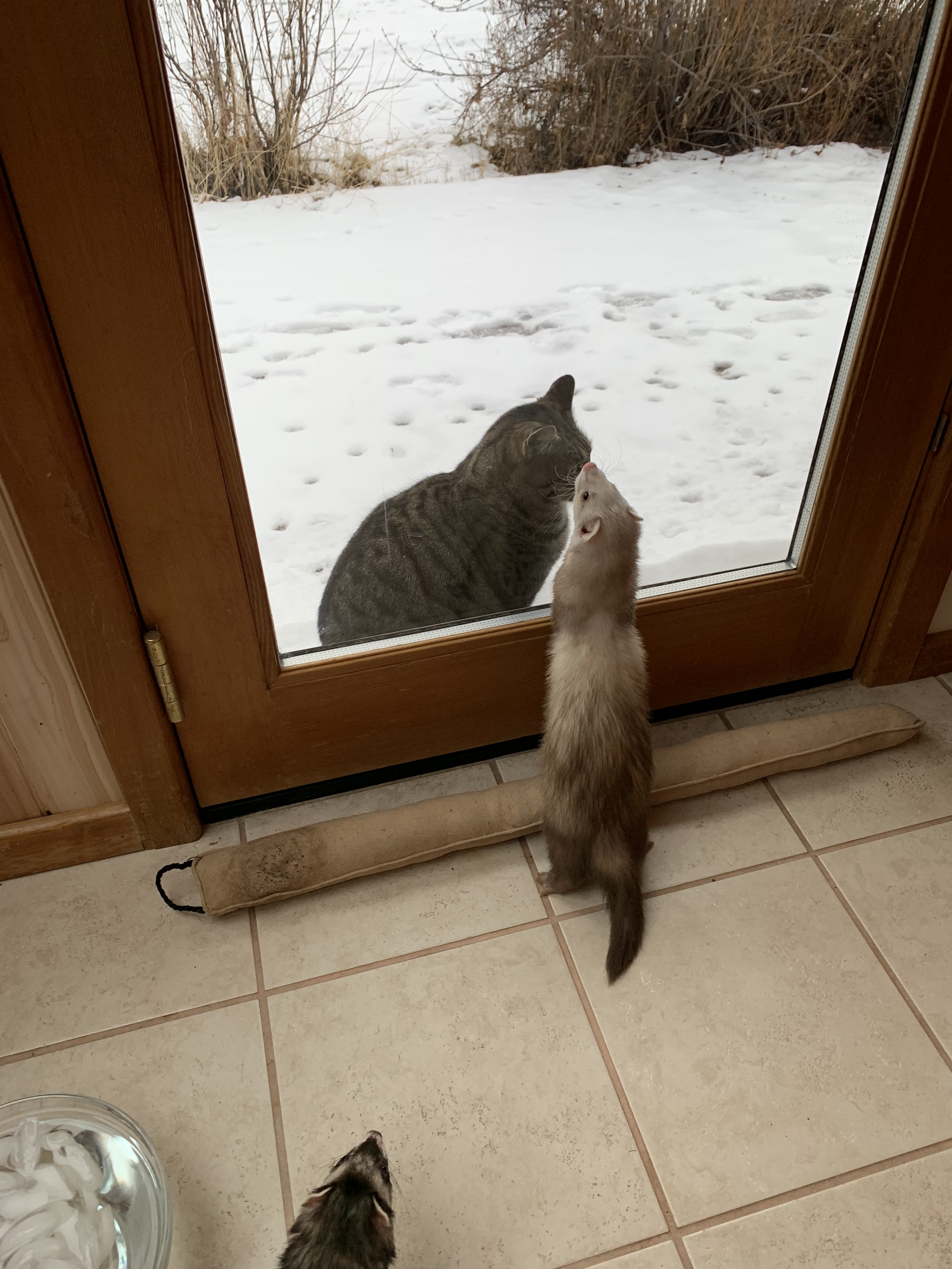 0784ECE0-F4F3-4B9A-930F-06162510AA03