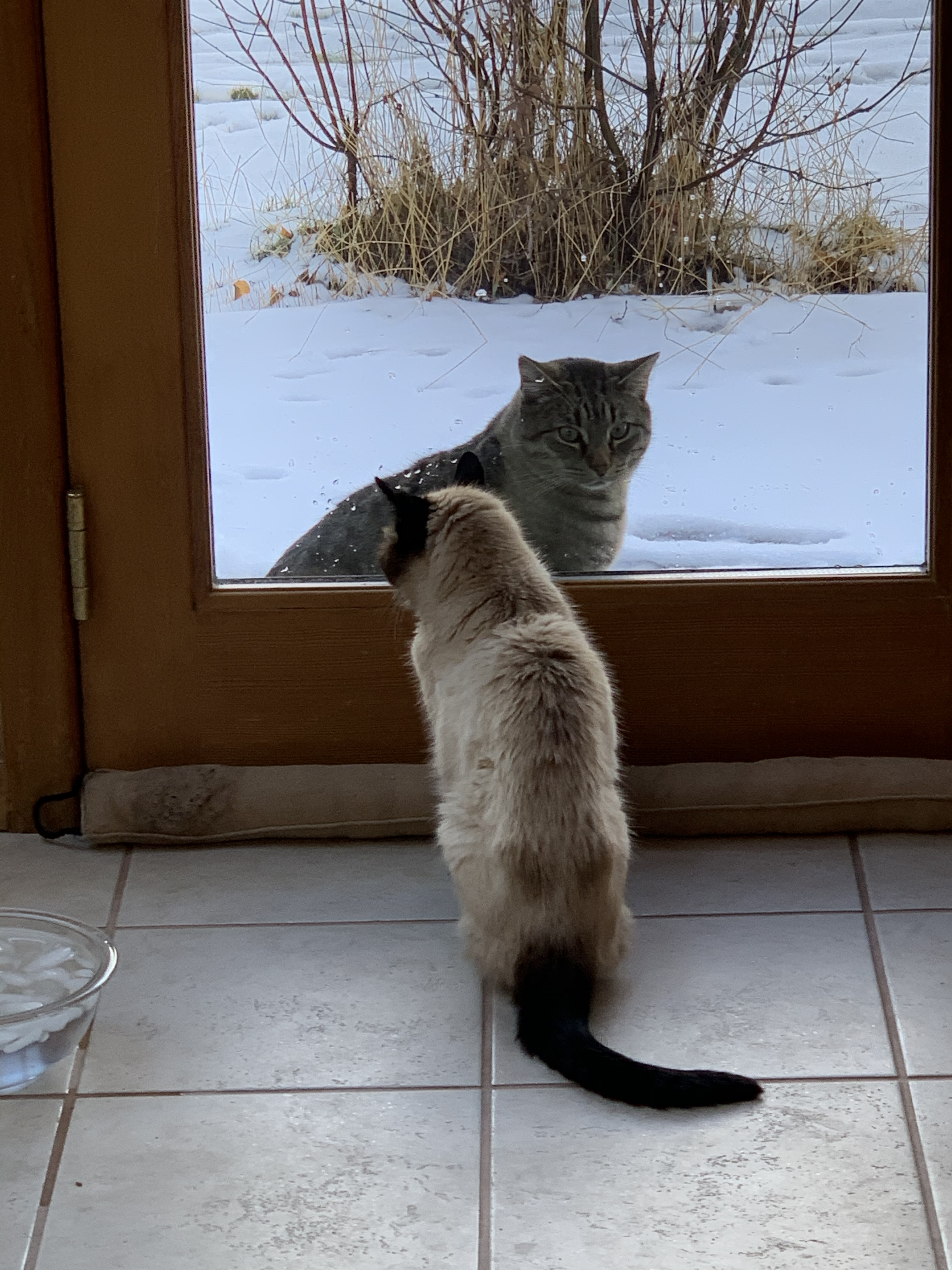 183EA37B-2EE2-4334-A063-EC6E19B011B8