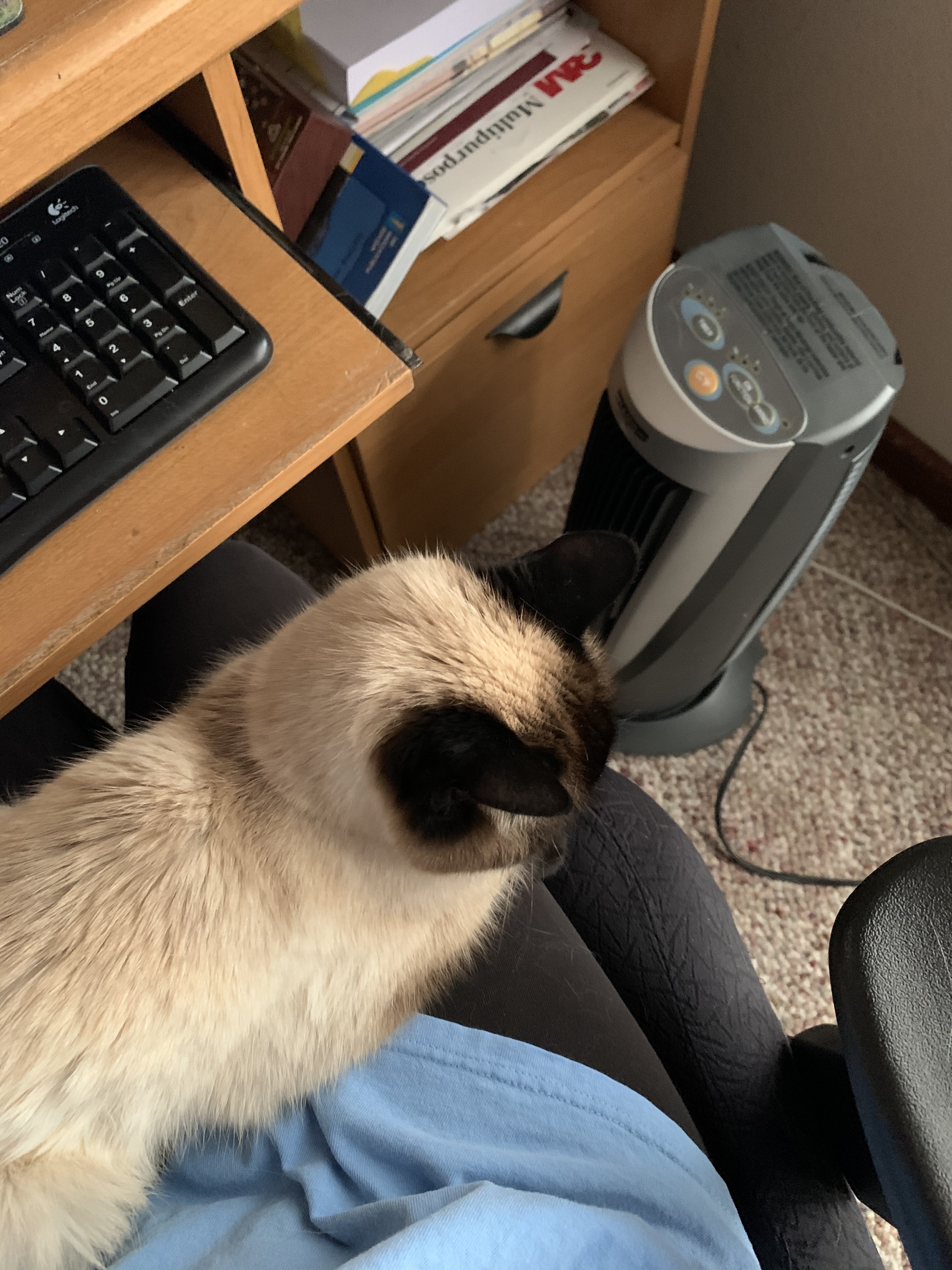 4BD91696-7EED-4B56-BC8C-F33736E0782D