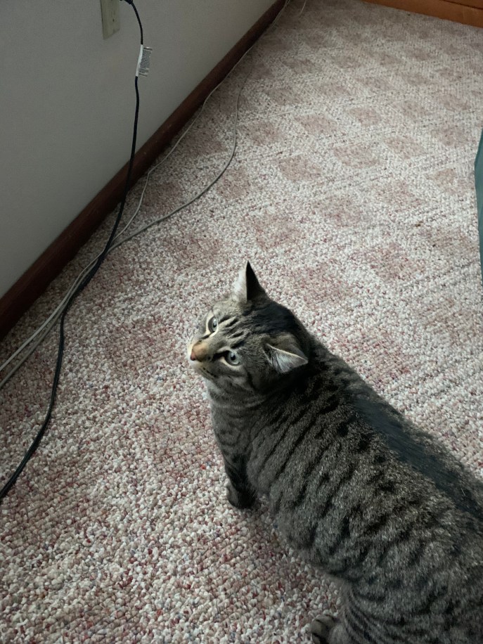 7E4F76F6-6755-4600-A584-020E18C63804