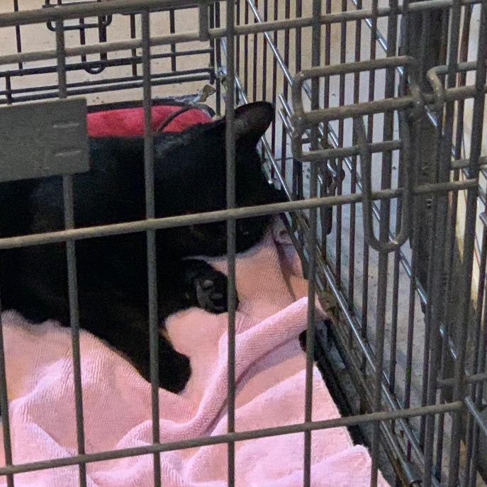 AB0C60B9-3649-4375-B70F-1562D9BDDA97