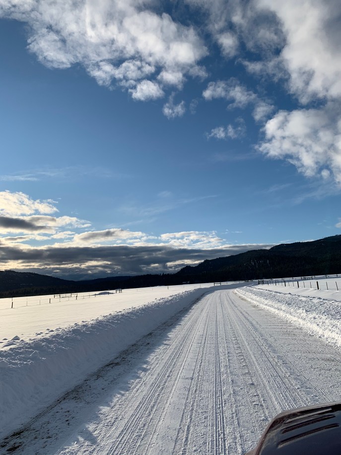 6B4254CD-83B9-443D-9599-0CCF763AB167