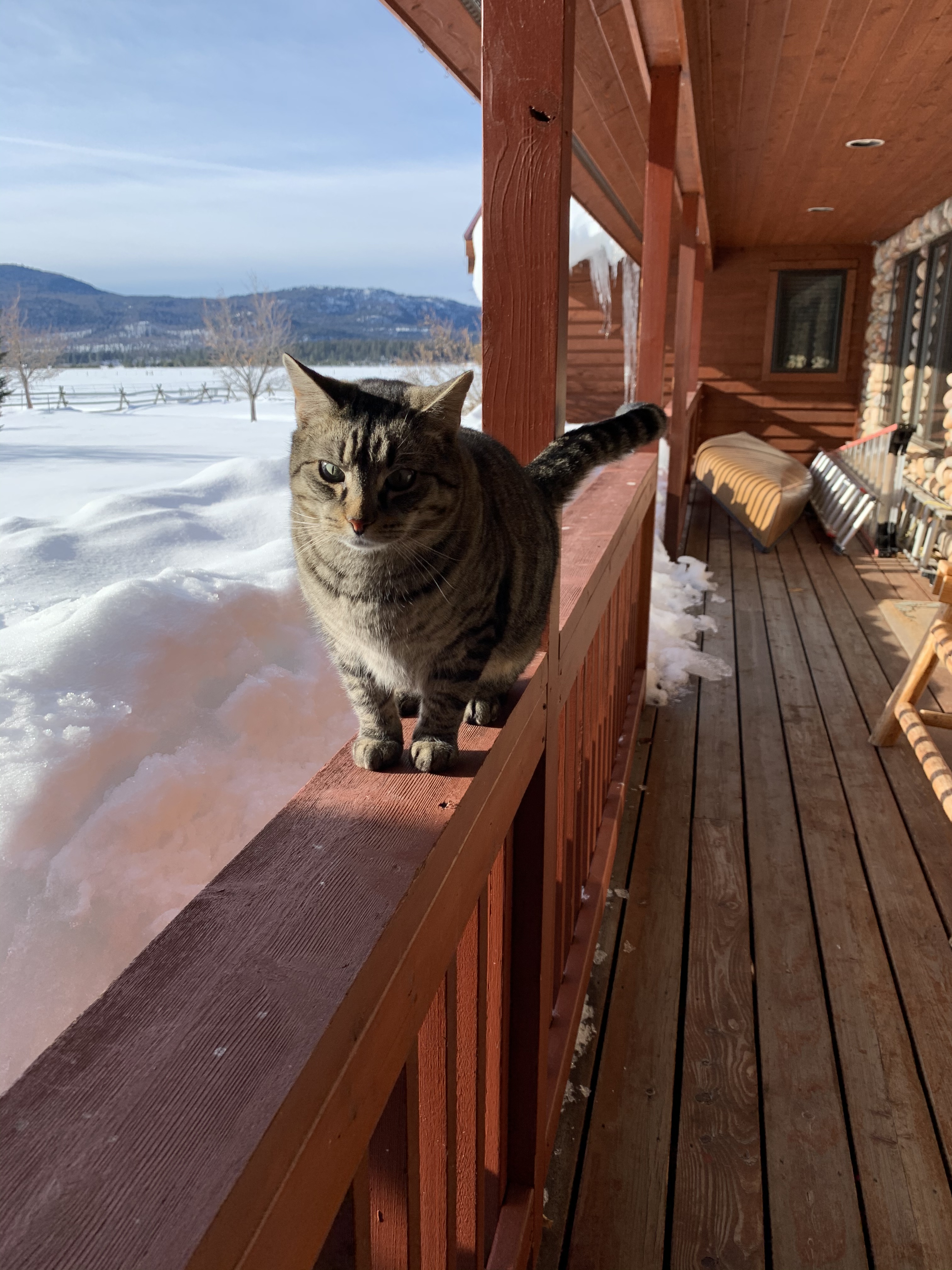 BB957B43-8EC6-4F97-B69C-DBD165E2B566