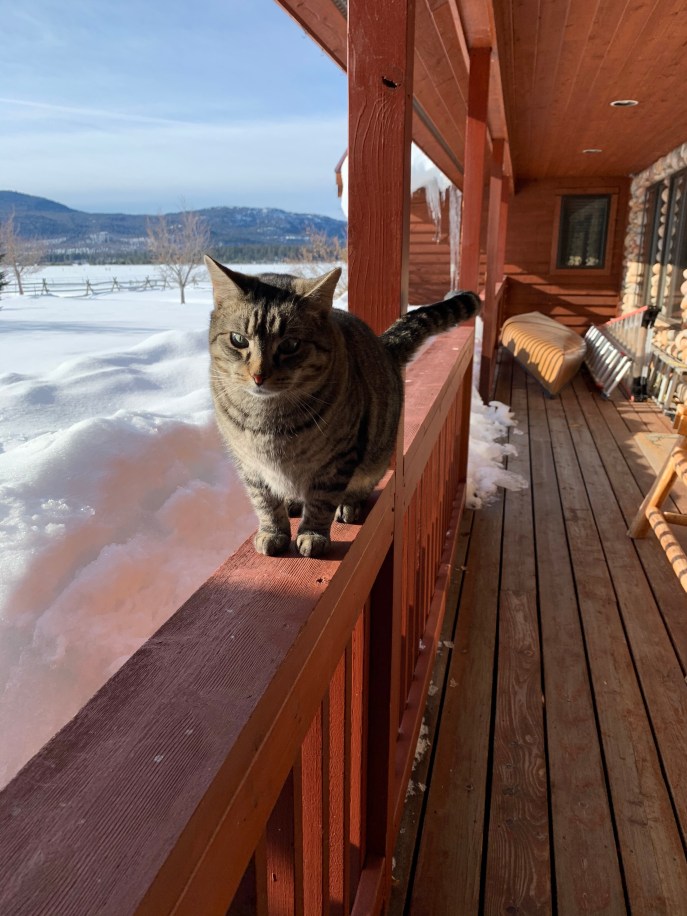 BB957B43-8EC6-4F97-B69C-DBD165E2B566