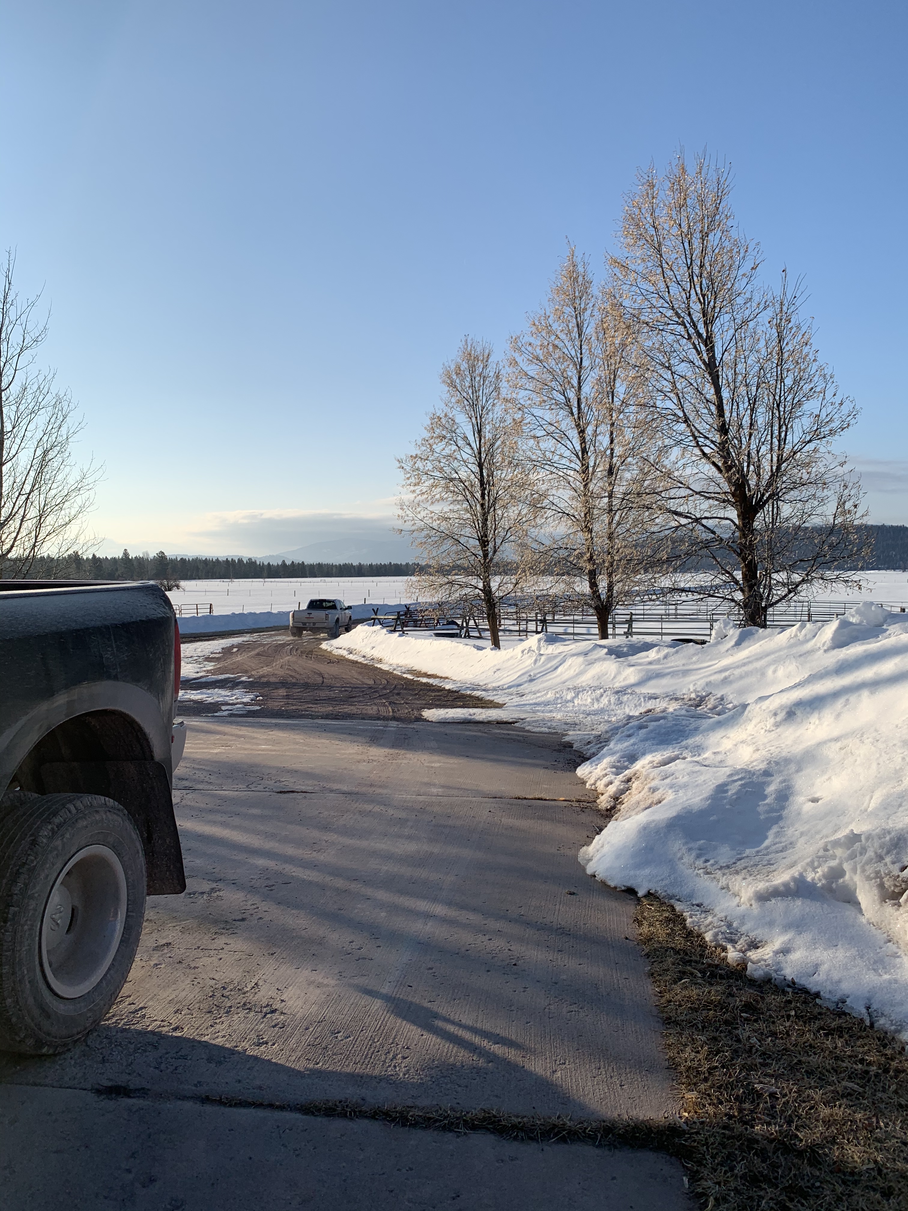 19274C65-8C99-4345-AF57-CB59E978A461