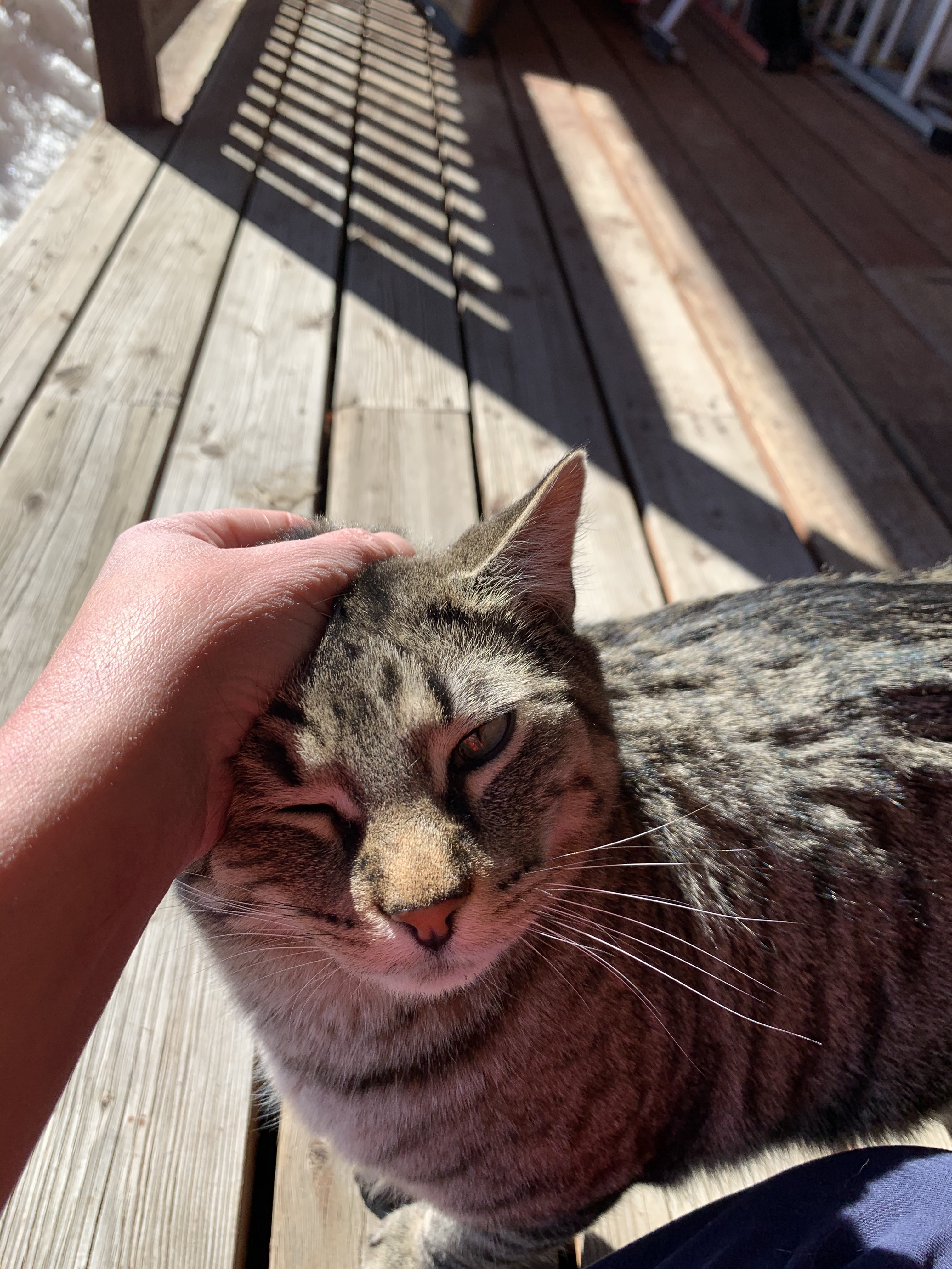 527CDDF4-16B6-4273-8B71-2E10D60230A5