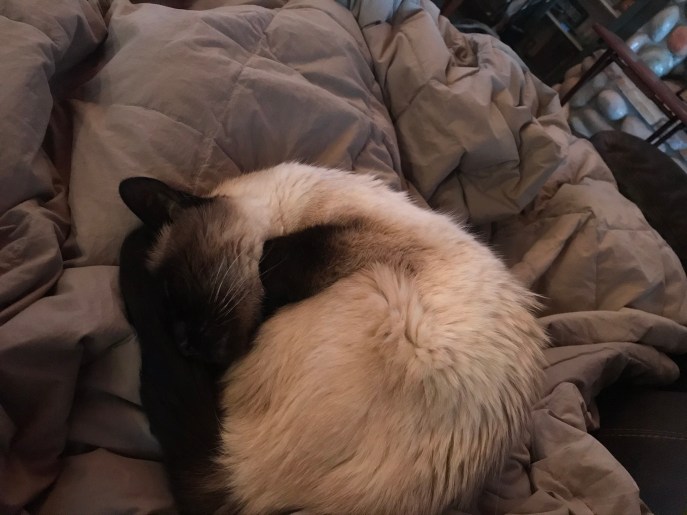 71722D8B-4475-4846-9EE3-97F6DC07C9E5