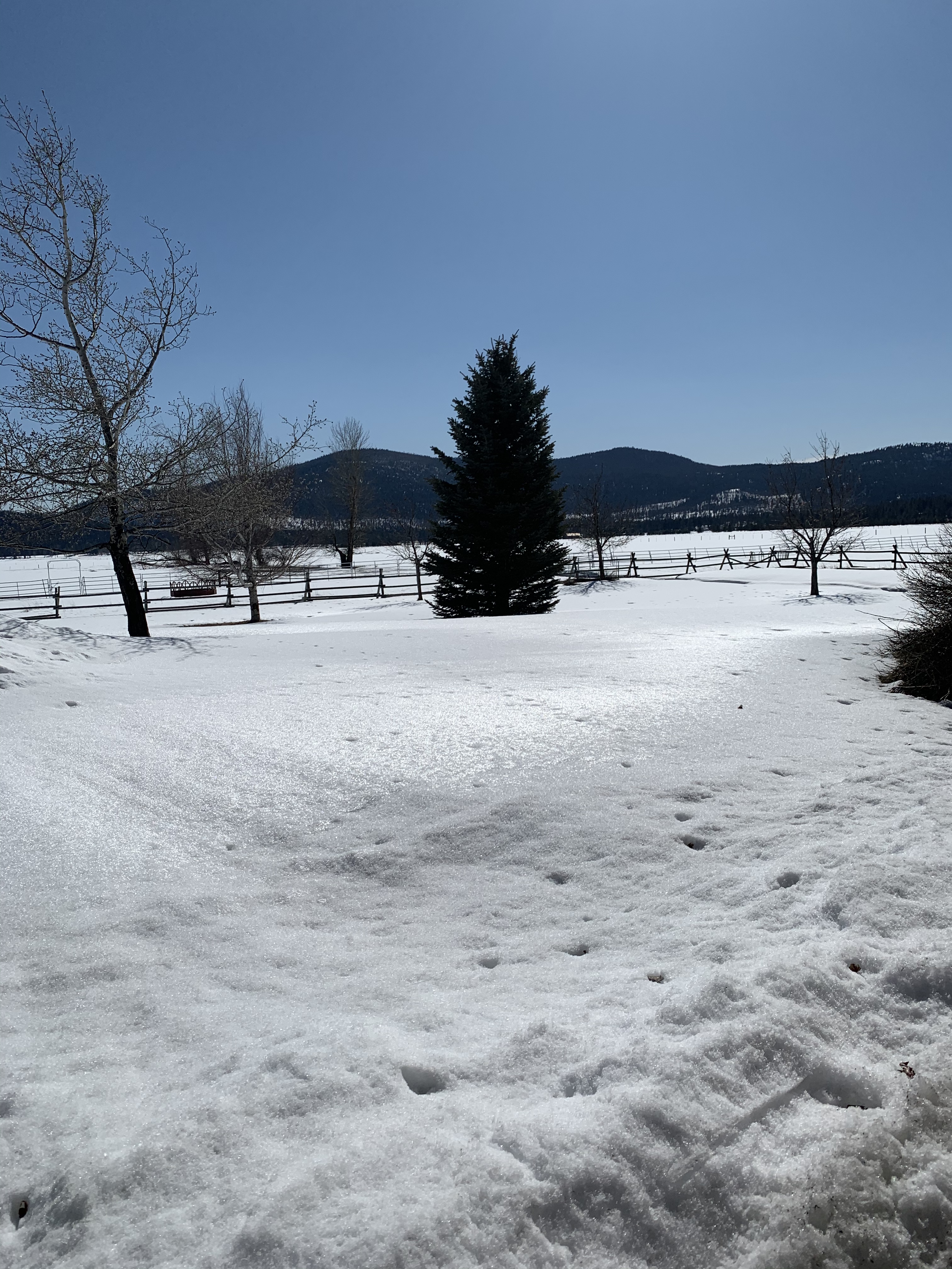 C53A3665-7B5C-4B67-BB21-1BA2C106AEC5