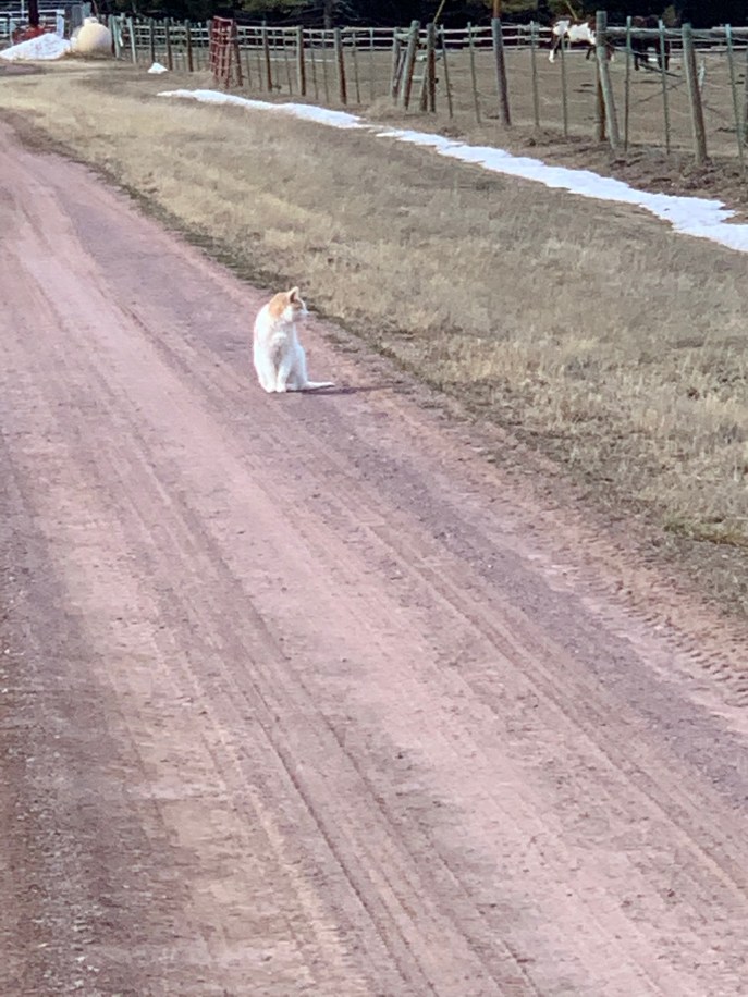 3AF9BB6F-2C3A-45C8-932F-47745311285C